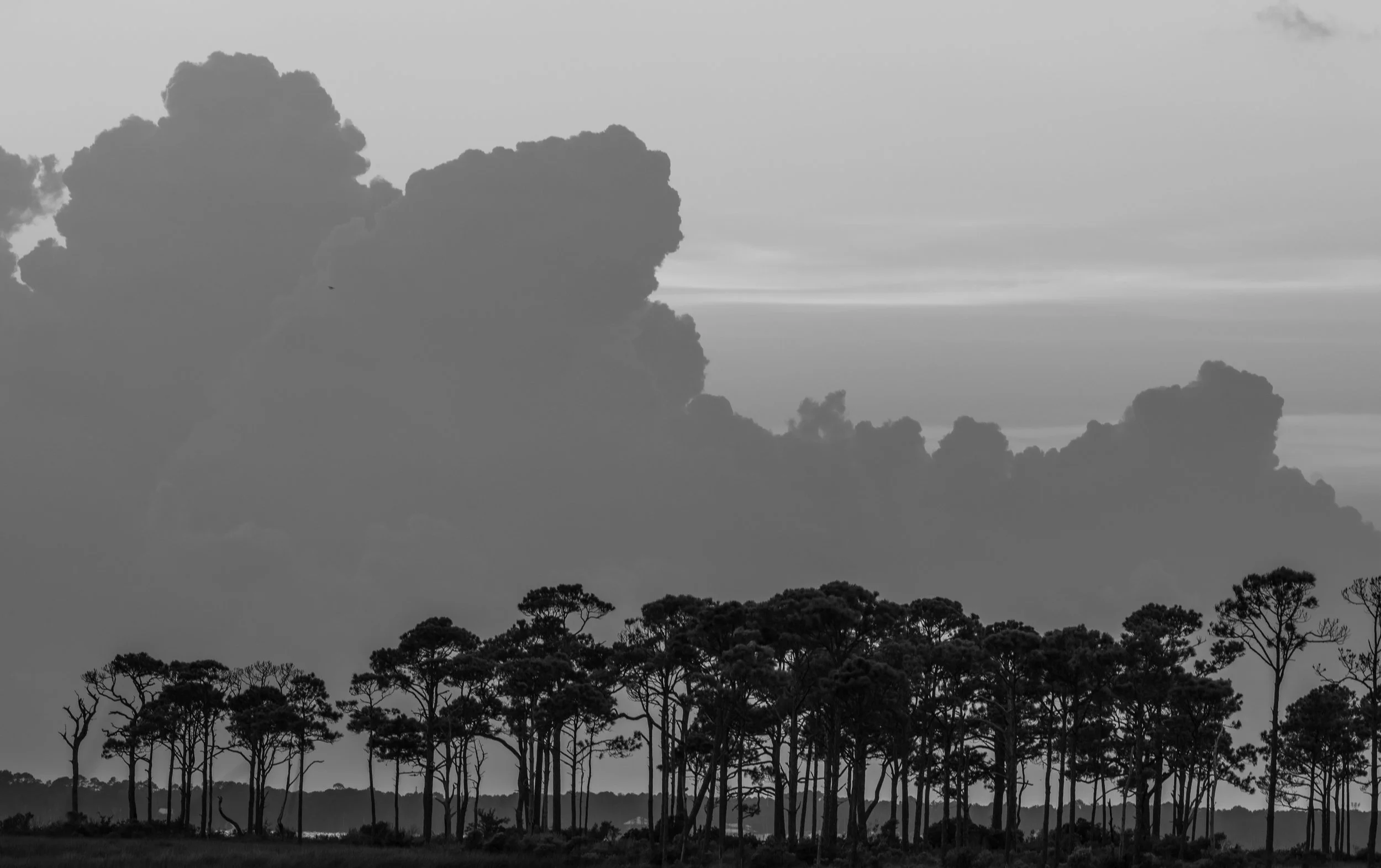 FL.2 sunset-24.jpg
