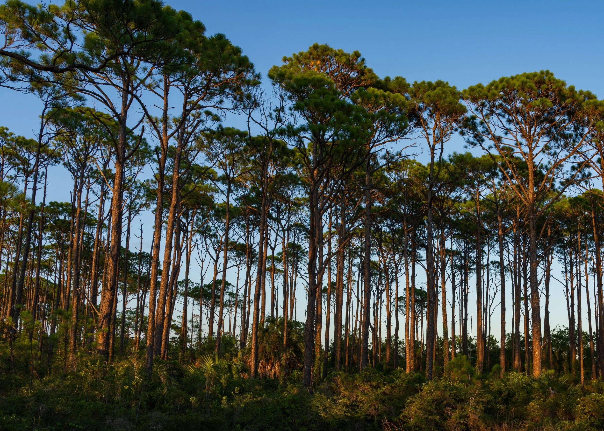 St. George Island, FL