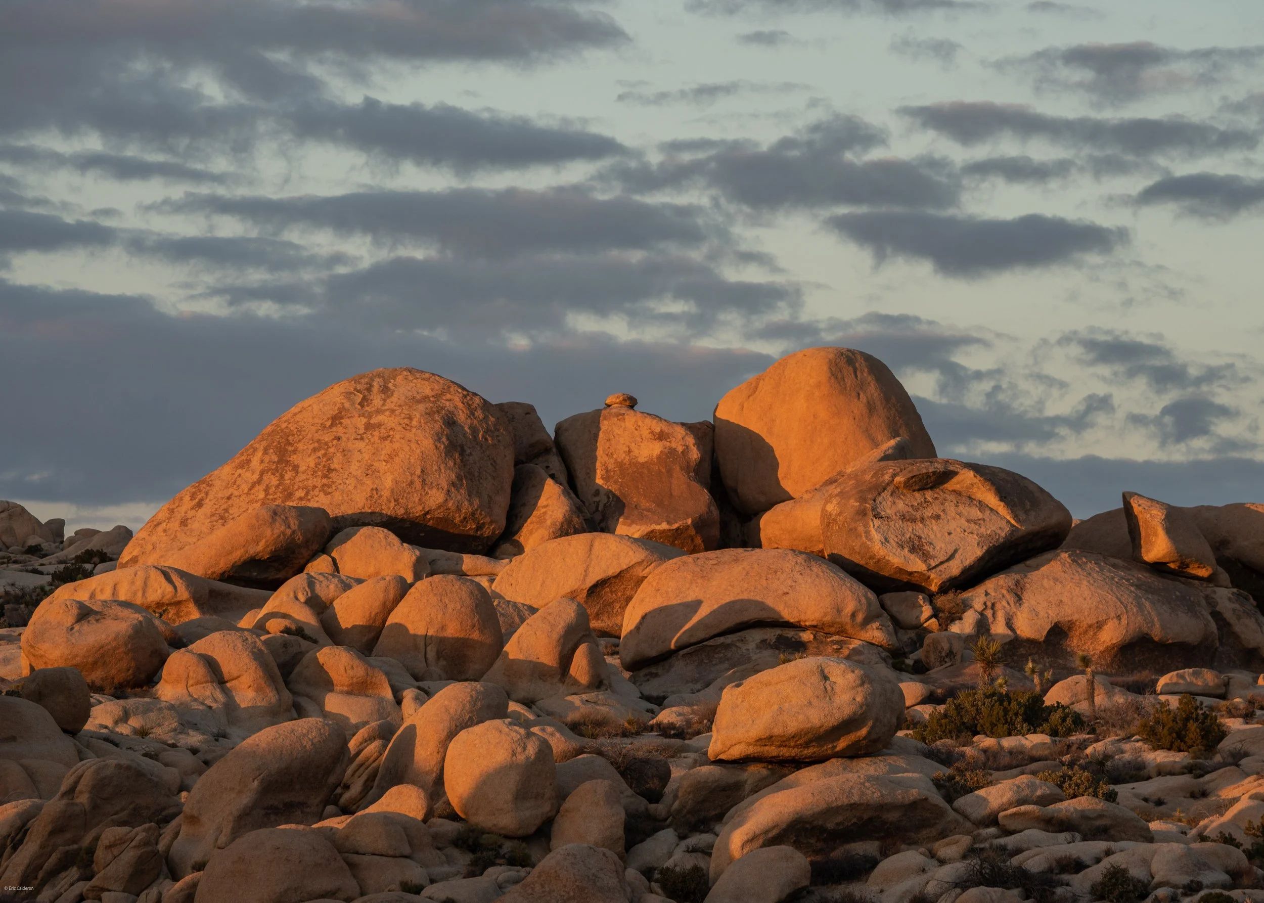 Jumbo Rocks, Joshua Tree Natl. Park, CA