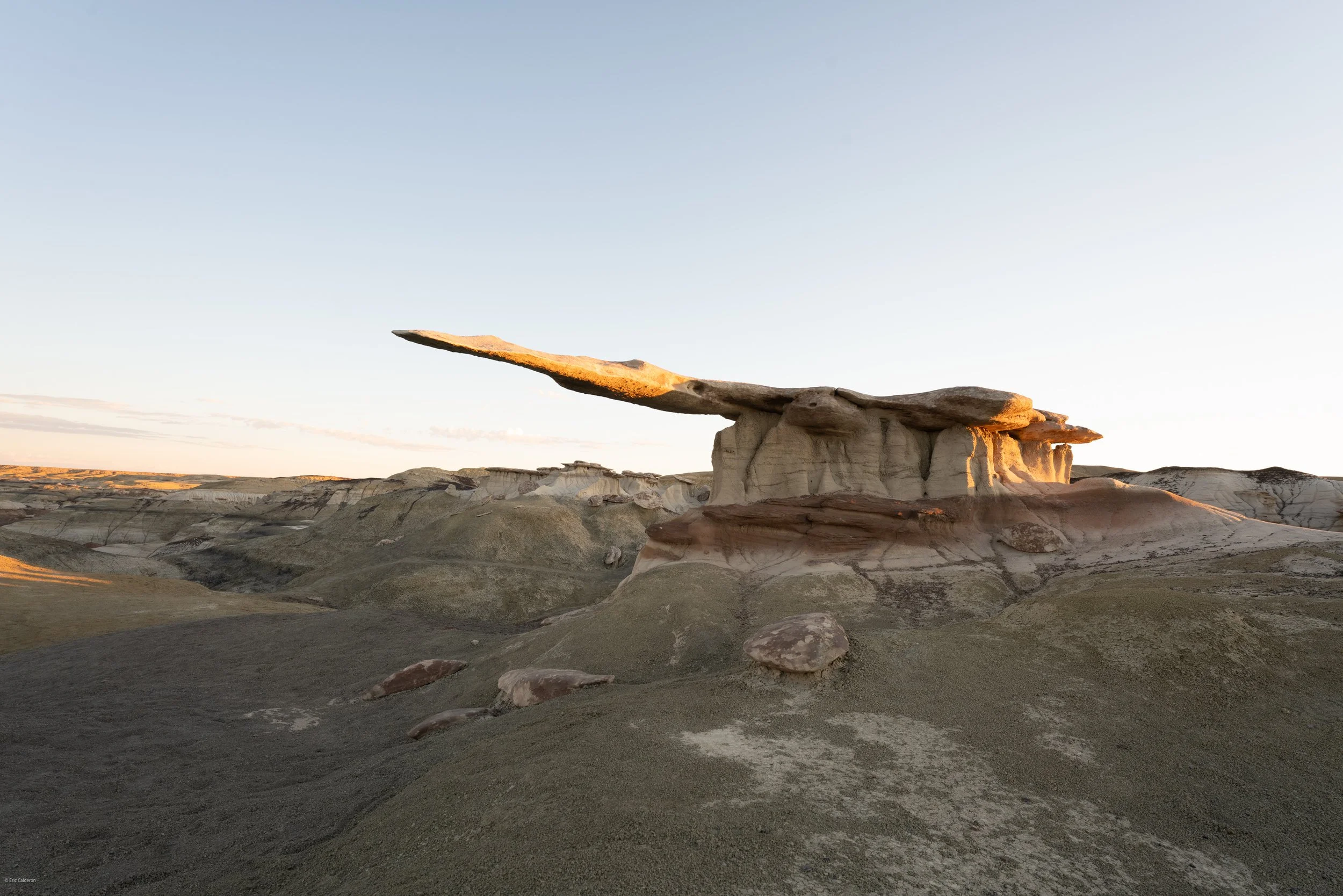 Stone Wings, Bisti Badlands, MX