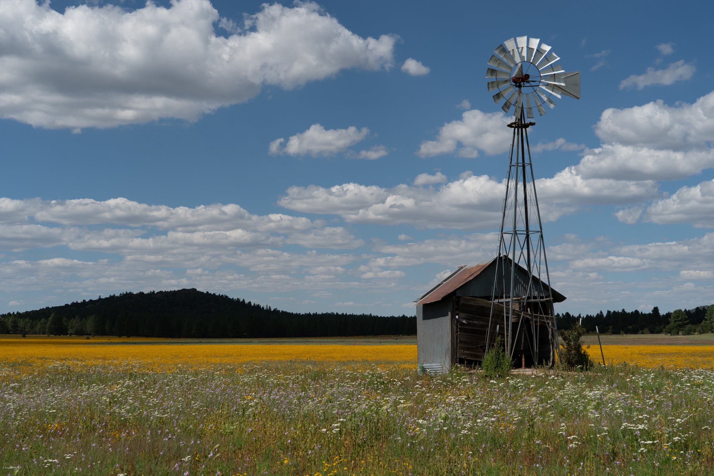 Flagstaff, AZ