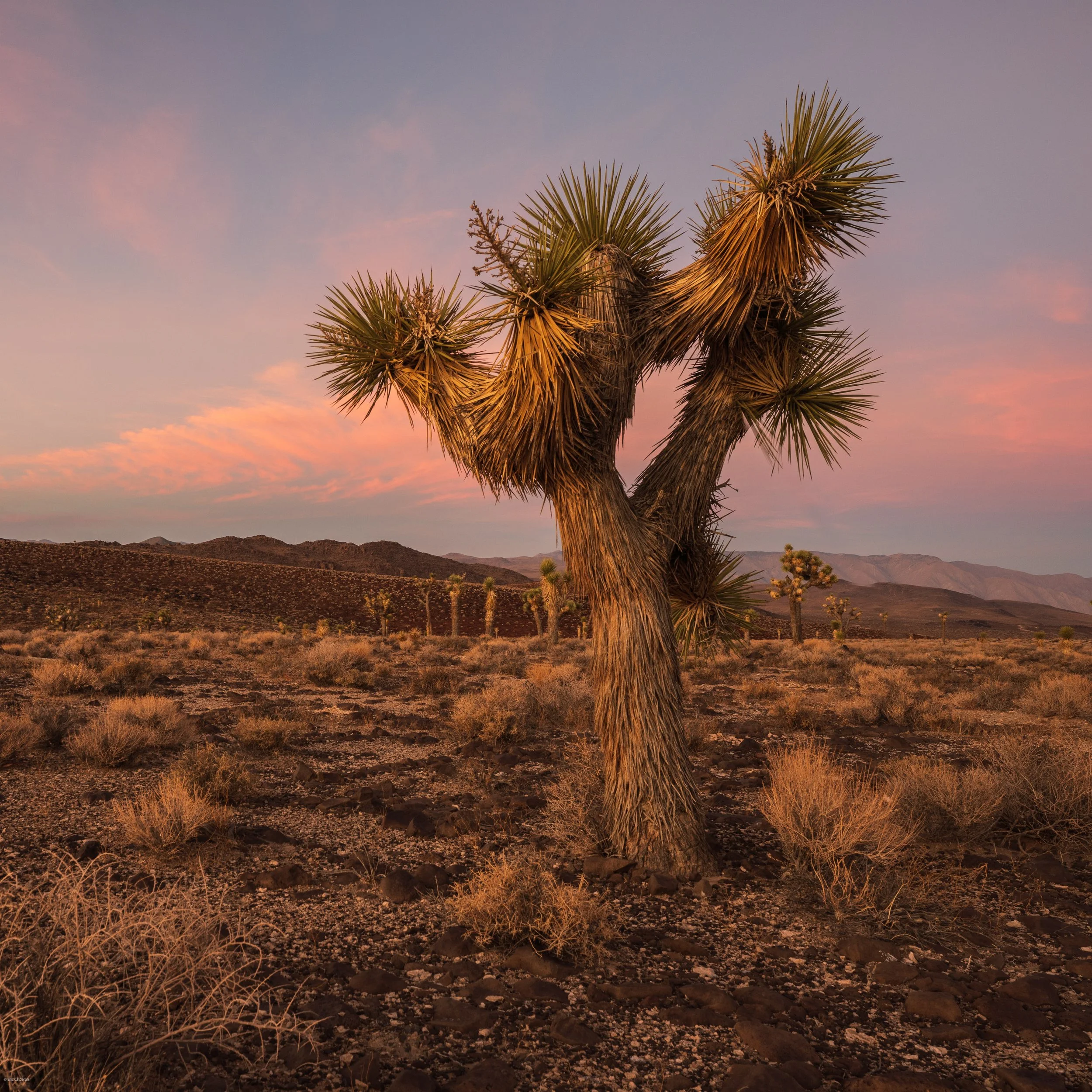 Summer Photo Trip-824.jpg