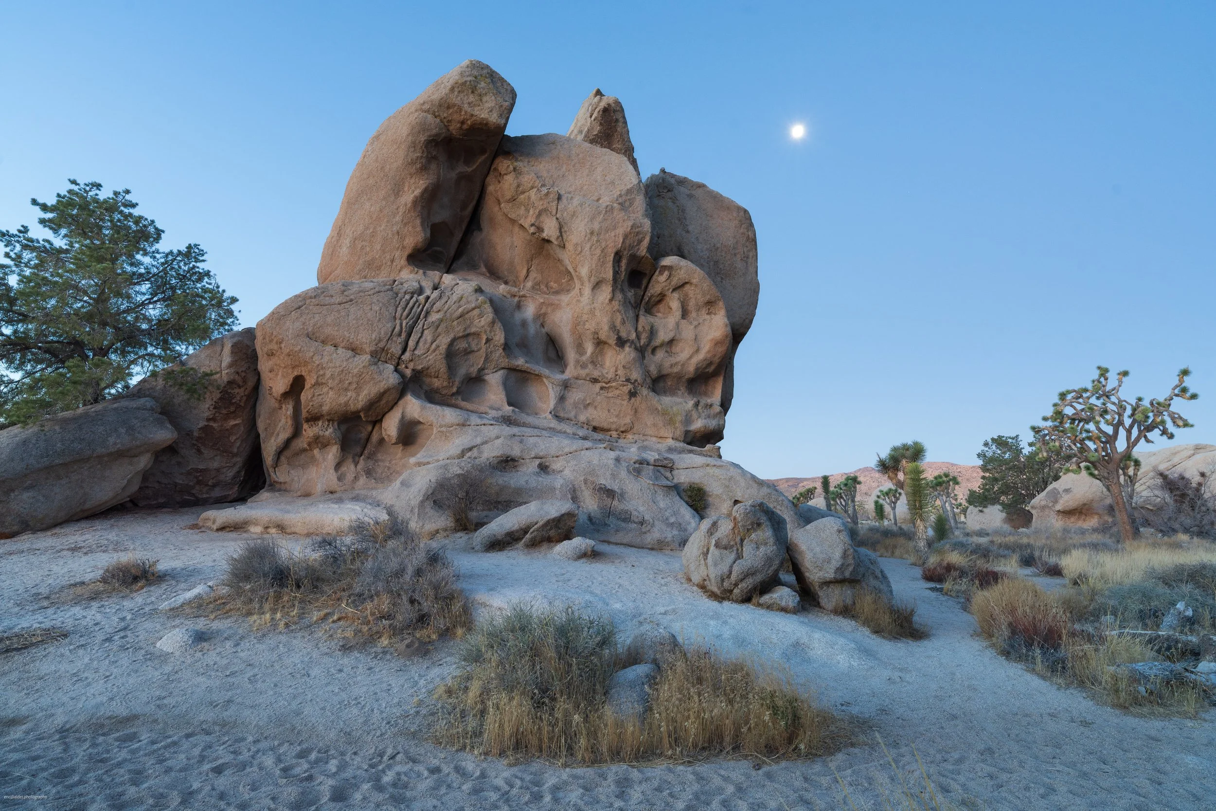Joshua Tree, CA