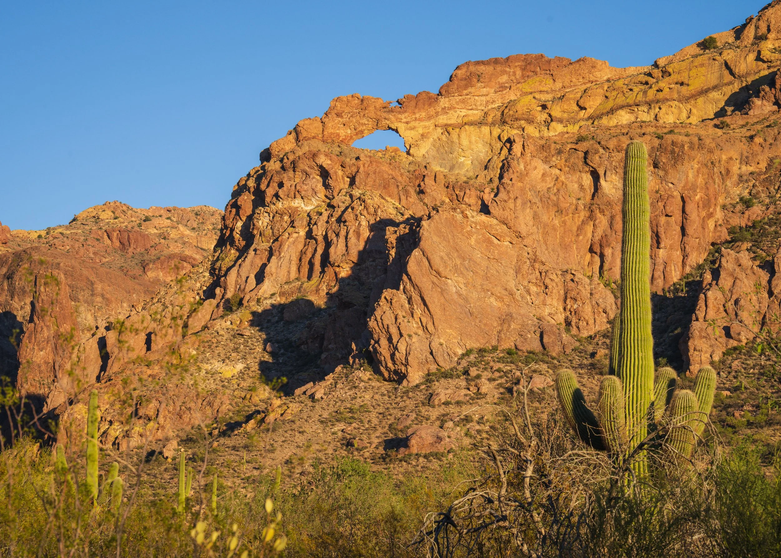 Organ Pipe National Monument, AZ