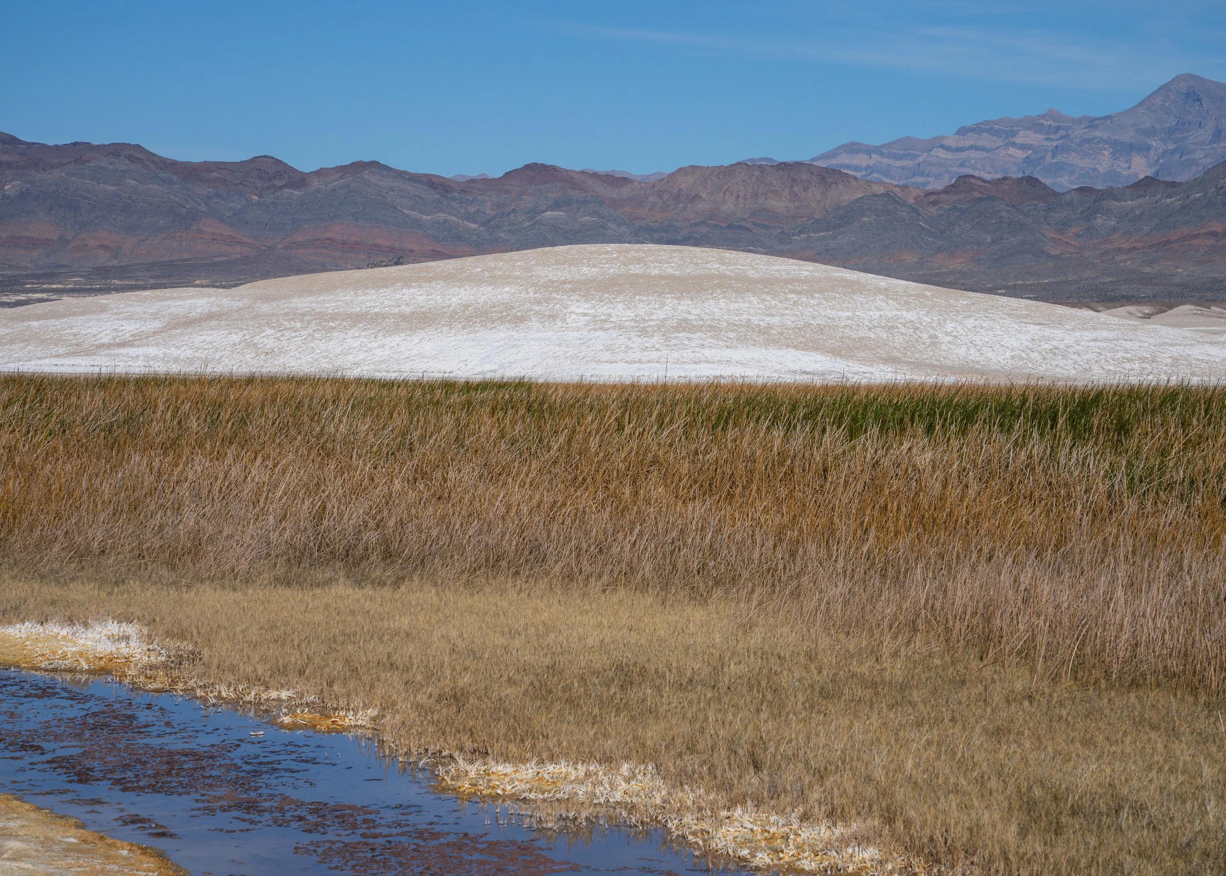 Rio Grande Valley, NM