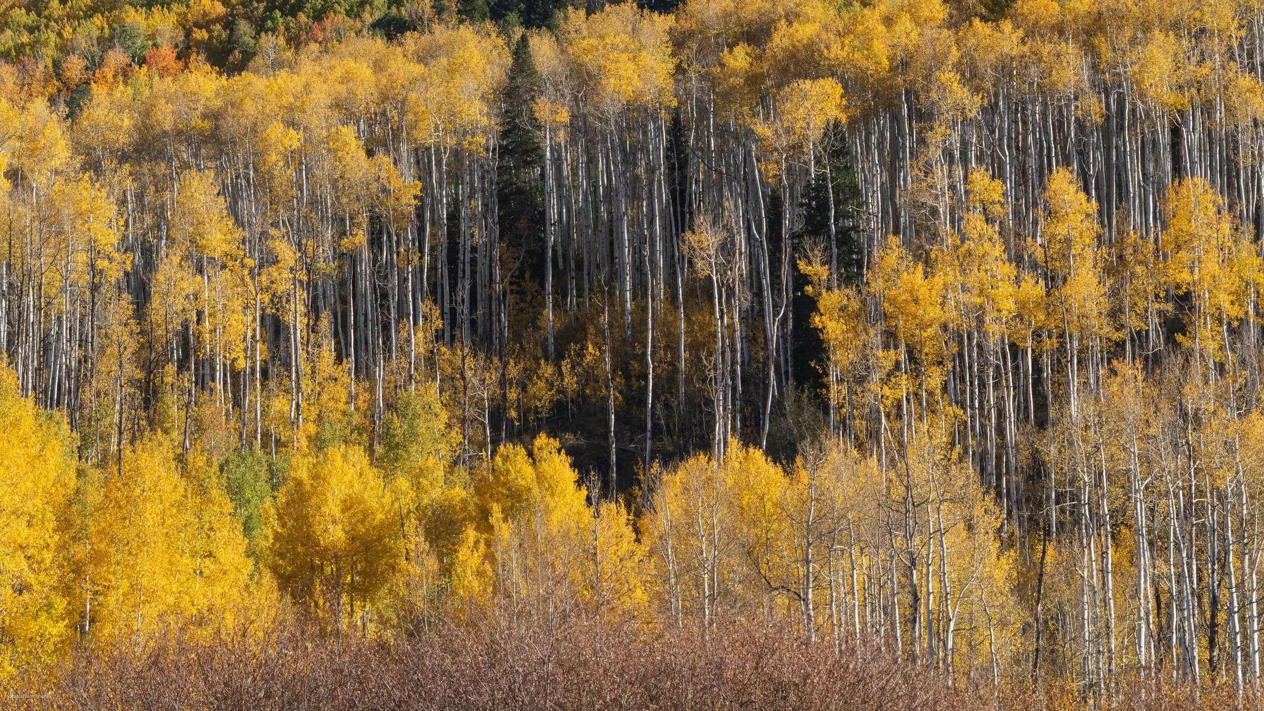 Kebler Pass, CO