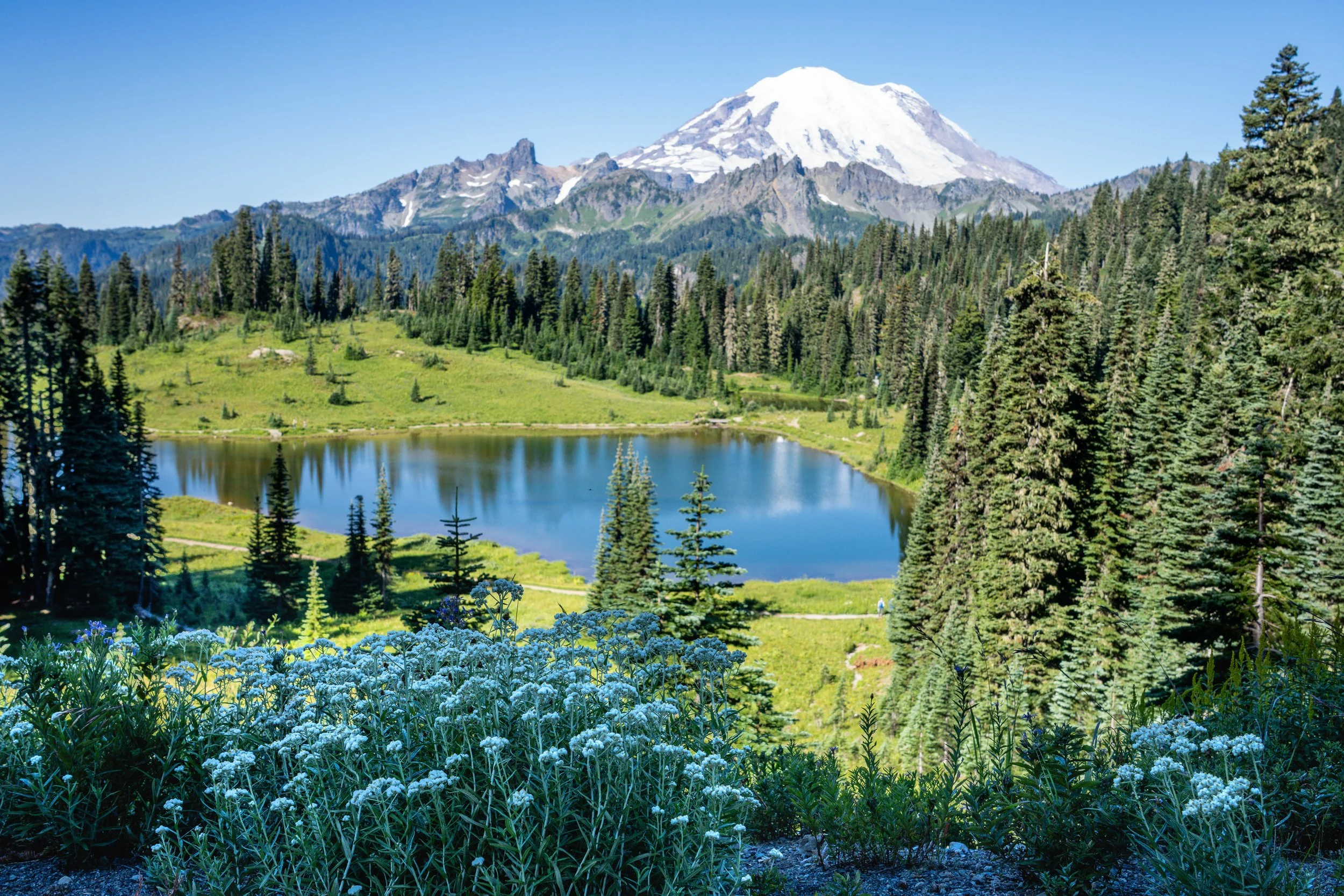 Toole Lake, Olympic National Park, WA