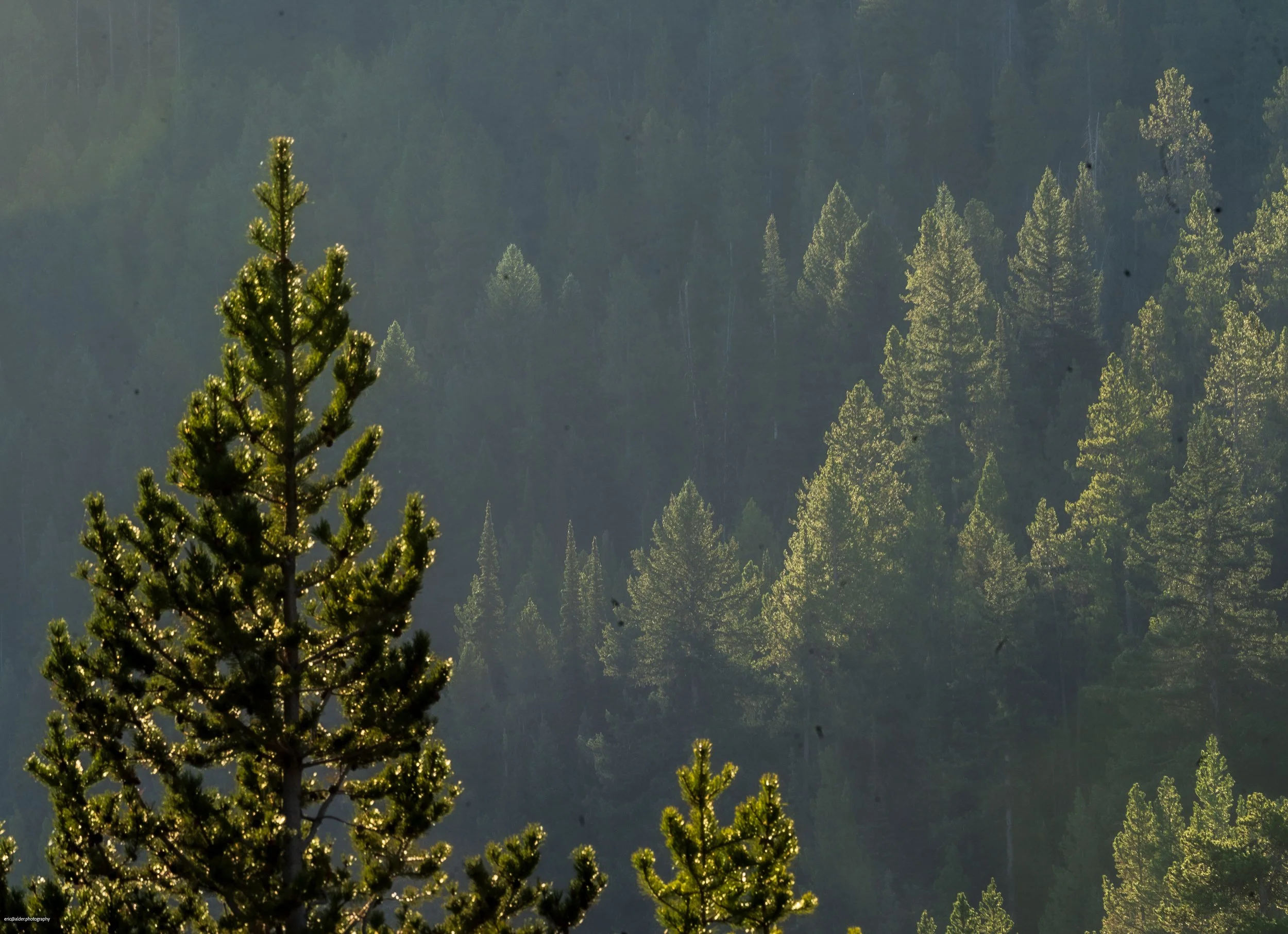 Tetons, WY