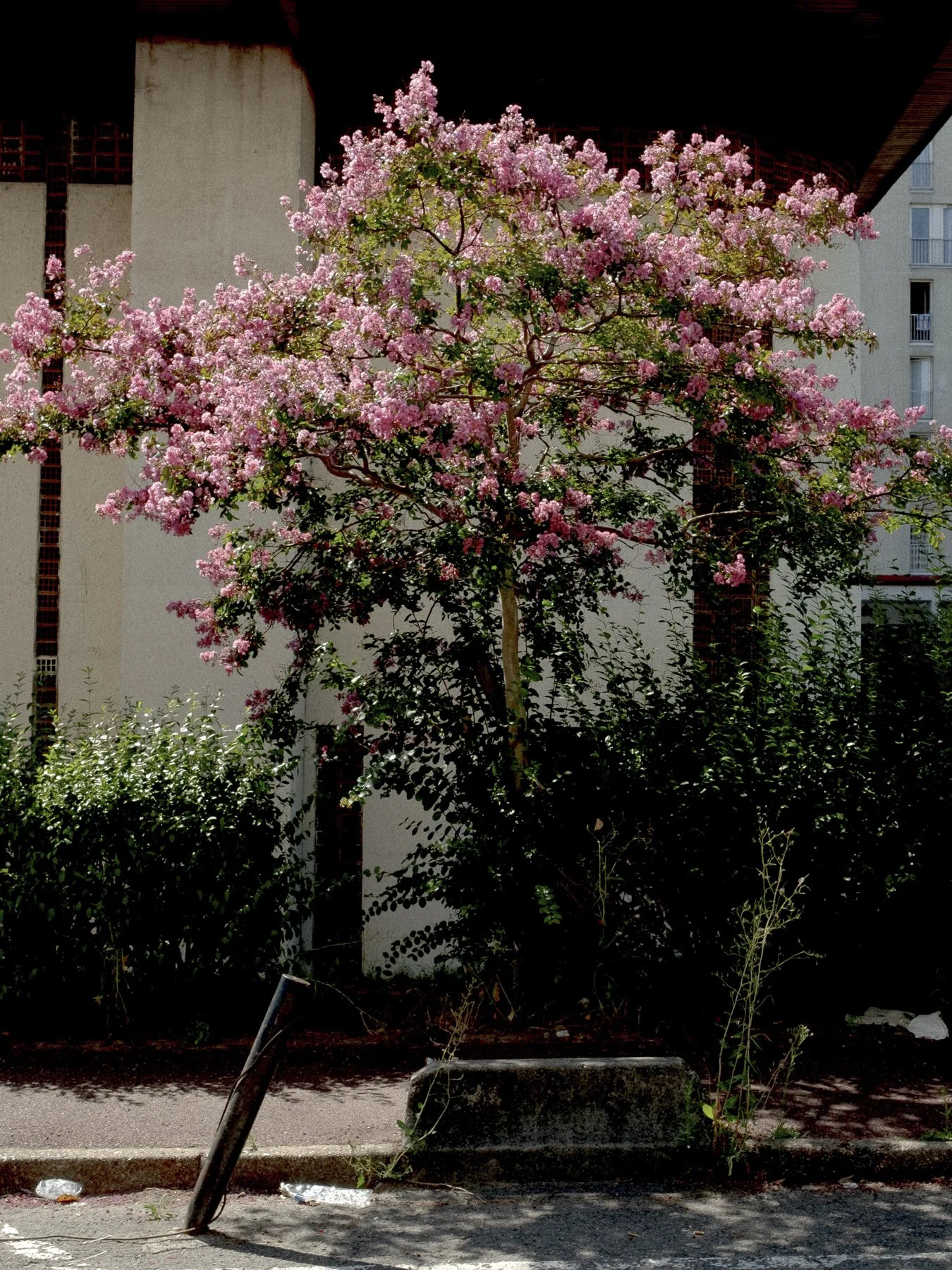 DSCF0125.jpg
