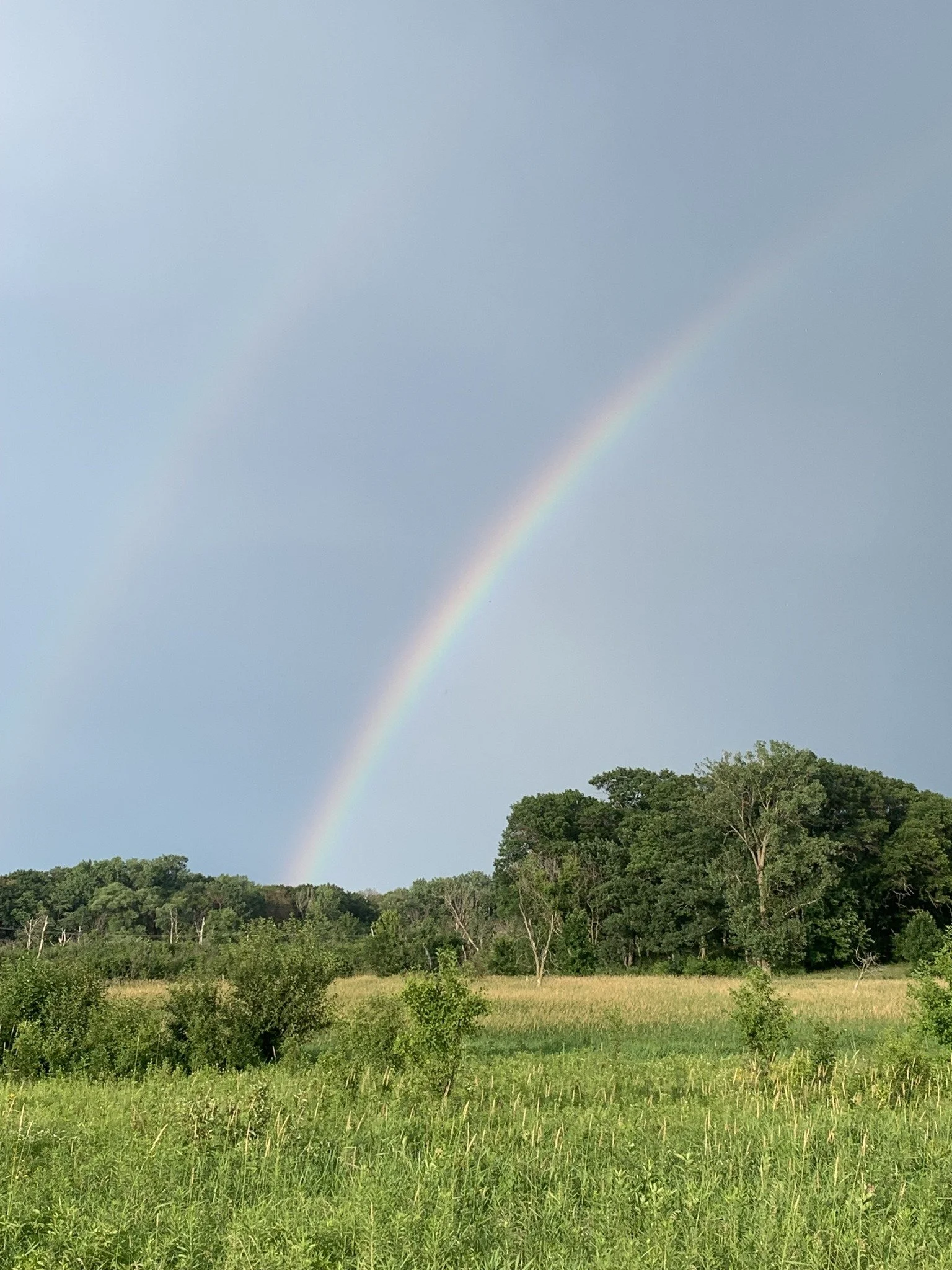 Earth Play: The delights of connecting to nature