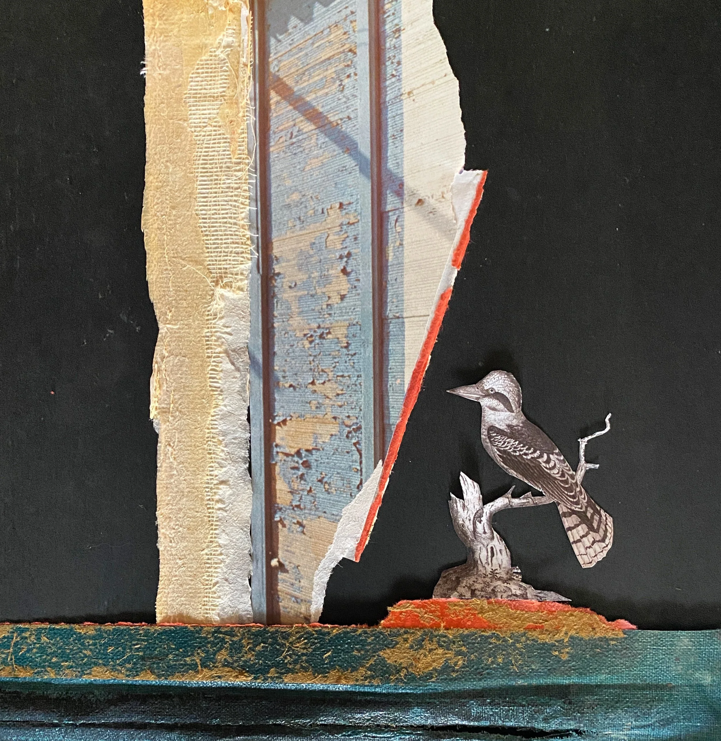 Bird at the Window.JPG