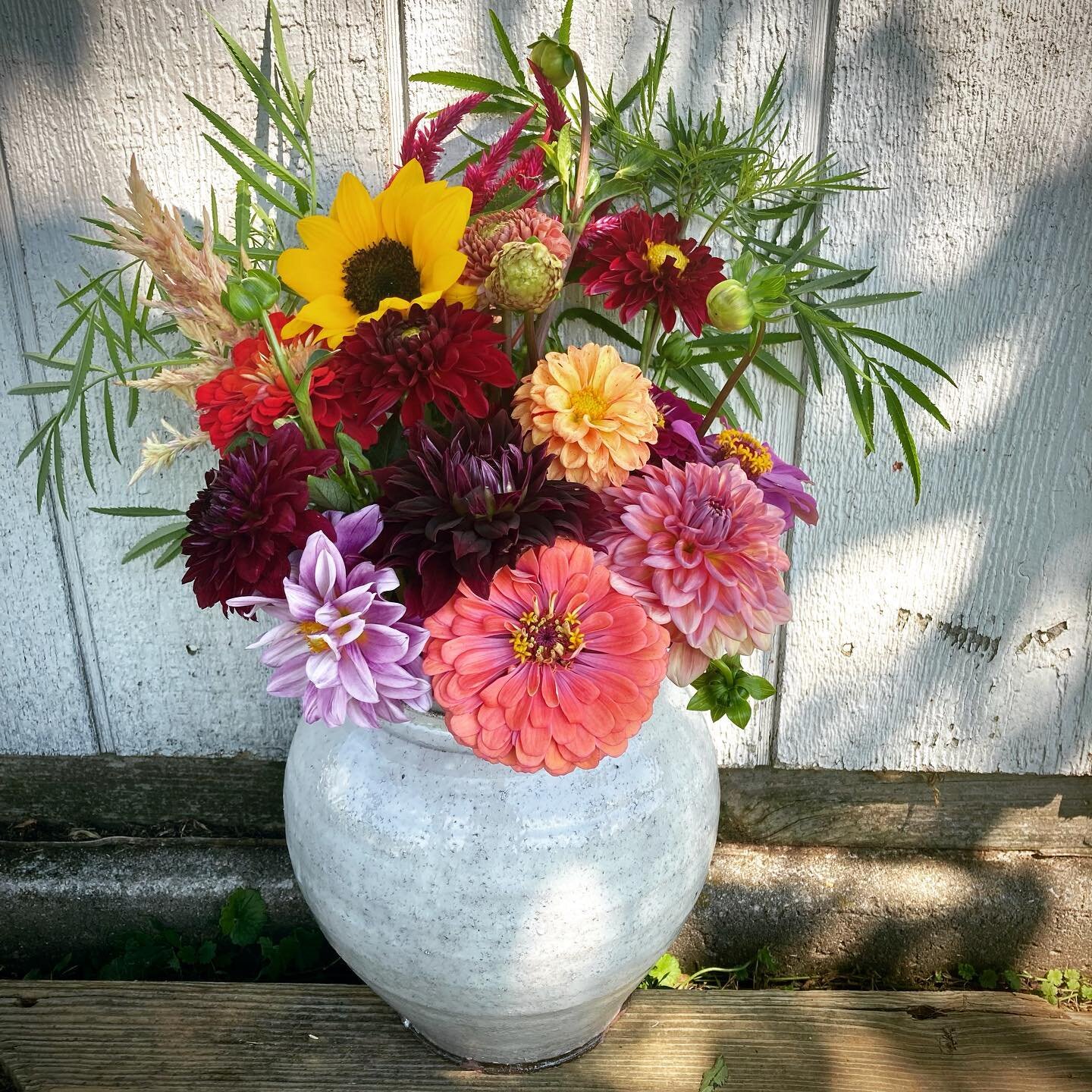 Truelove Seed&rsquo;s Philly Flower Share sign ups are live, and we&rsquo;re offering an EARLY BIRD DISCOUNT of 10% off (that&rsquo;s one free week of flowers!) of our ten-week-long cut flower subscription. Sign up today, as this discount expires Sat