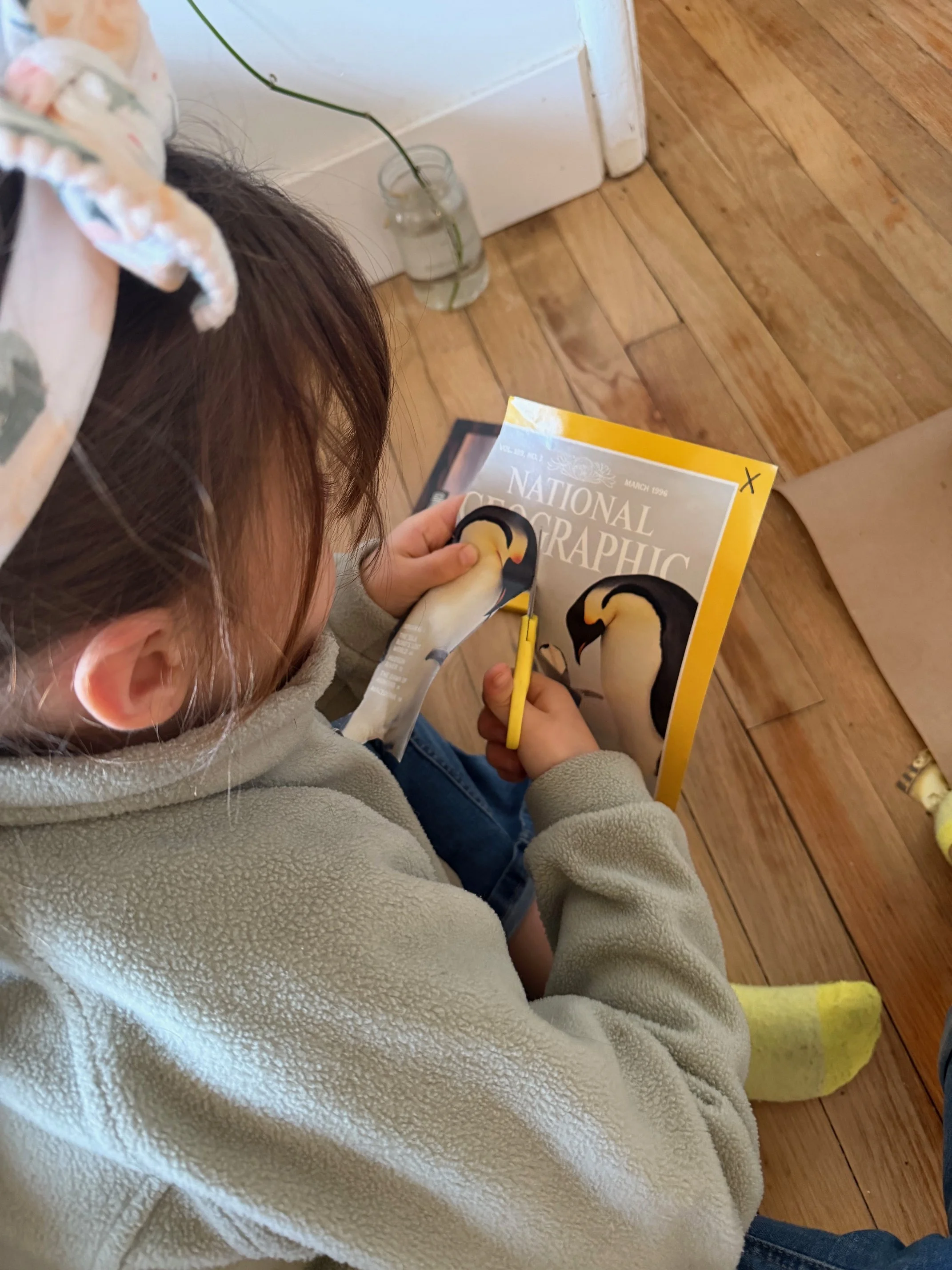 Child sitting on hardwood floor cutting out a magazine page of a penguin from National Geographic with scissors, with a yellow sock visible on their foot.