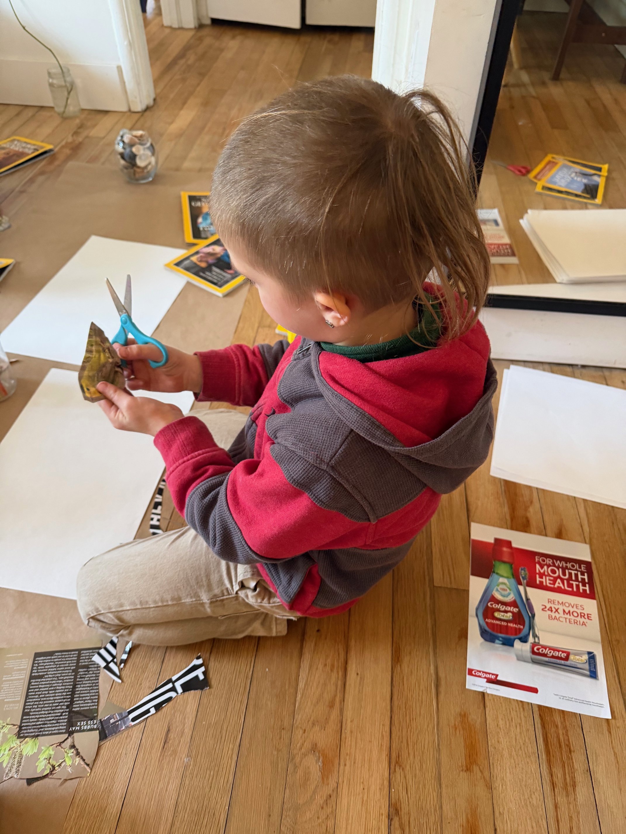 A young child with a side cut and ponytail, wearing a red and gray hoodie, sitting on a wooden floor, cutting a plant leaf with small blue scissors, surrounded by papers, magazines, and a toothpaste advertisement.