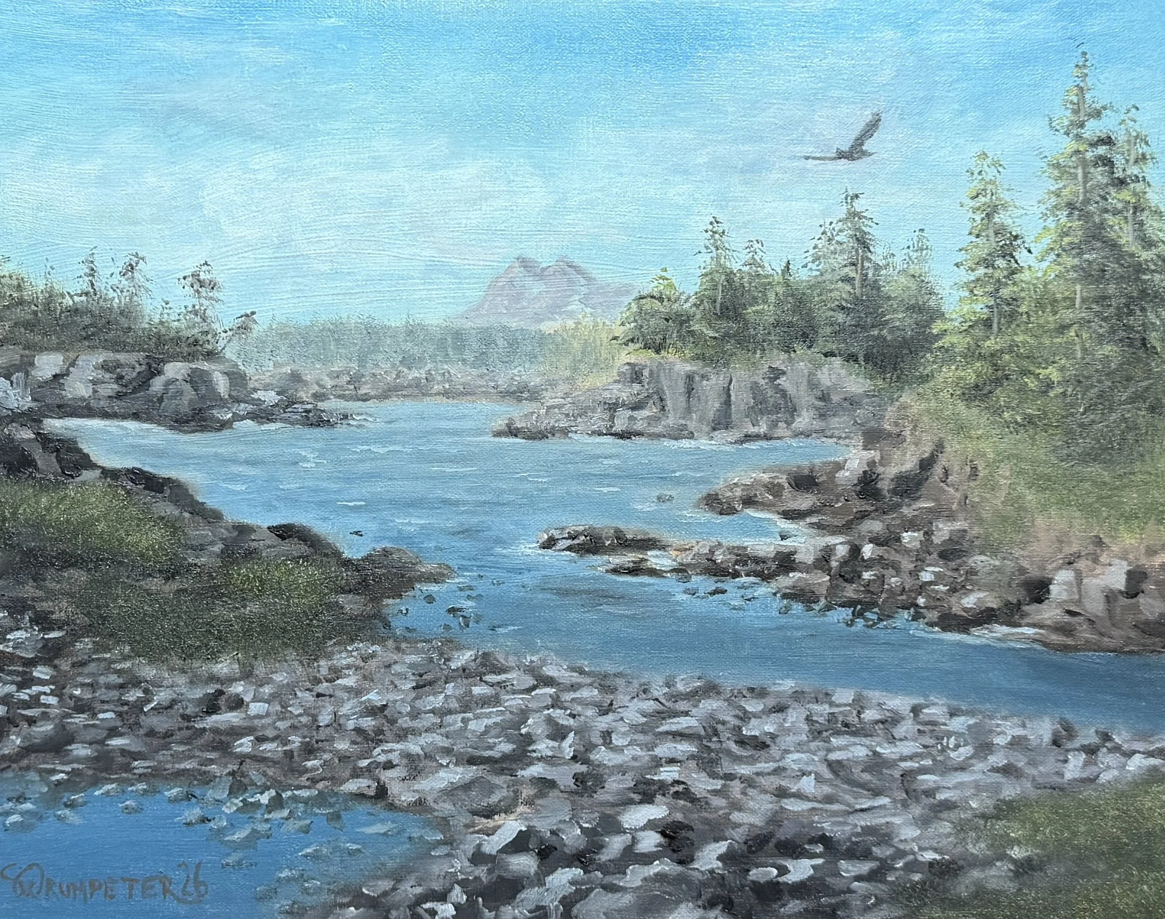 Clayoquot Sound, Op. 2 - 11" x 14" Oil on Linen Panel (alla prima)