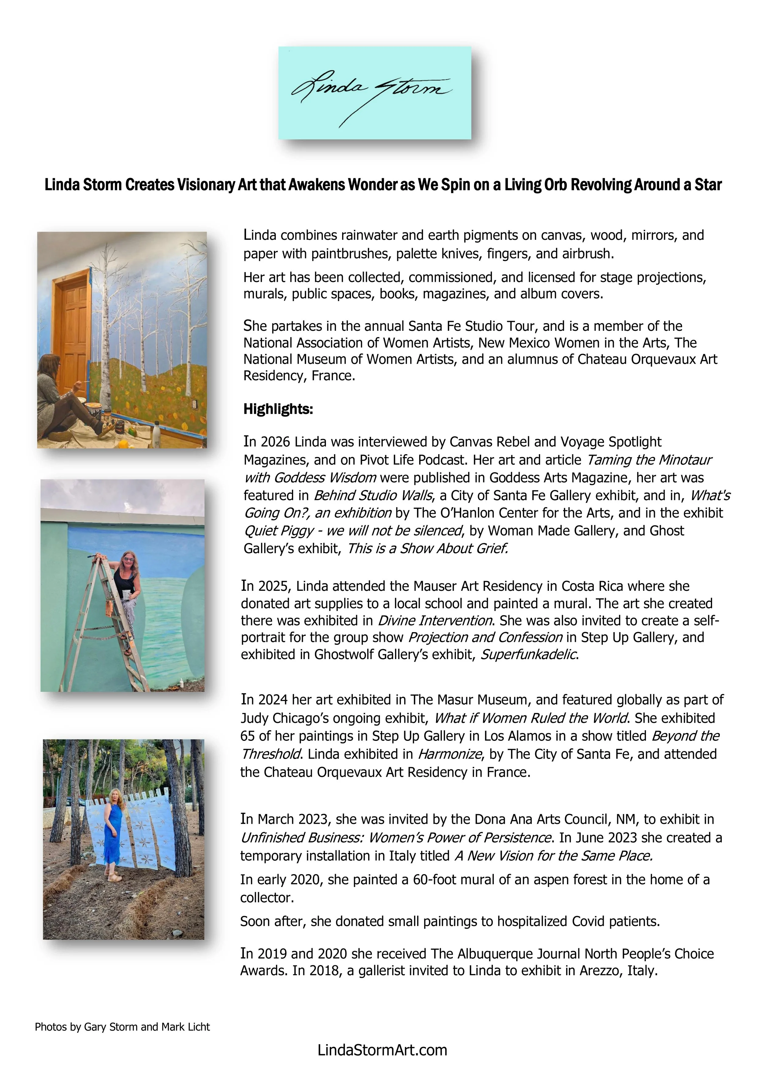 photos of artist Linda Storm paintng and highlights of her biography as an artist.
