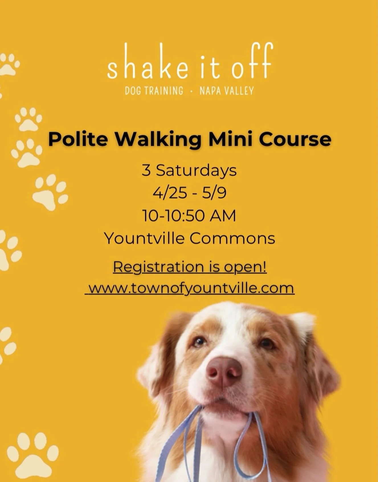 Catch our newest and most compact 3 Saturday crash course to hone your dog's Polite Walking skills! This 50 minute class starts April 25th and takes place at the Yountville Commons. Spots are limited! Sign up through Yountville Parks &amp; Recreation