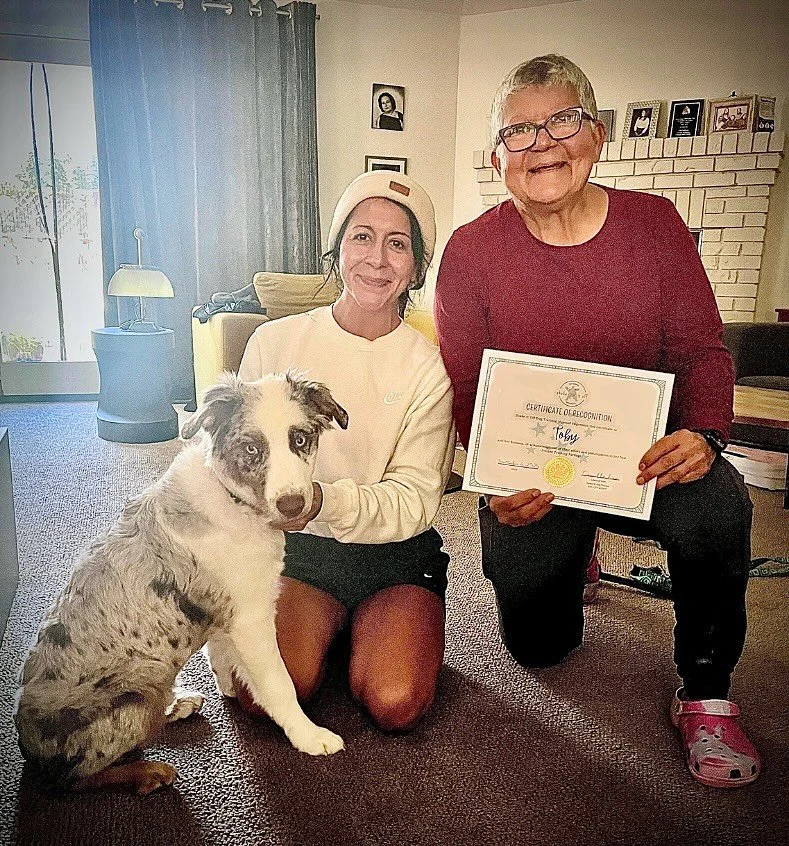 Beyond teaching handler mechanics and shaping new behaviors, one of the best parts of my job is the people (and the dogs!) I get to meet. This wonderful family and their bright and charming puppy recently finished their first training package, and ou