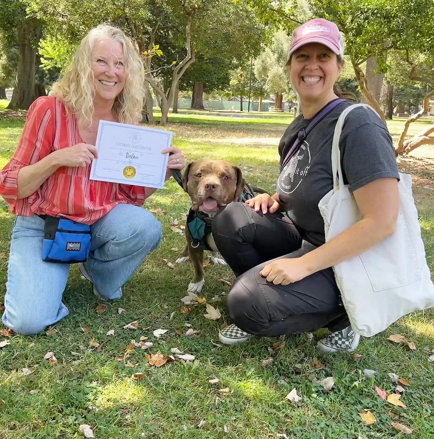 Put your emoji-hands together for Balou! 👏🏼 

He has learned a whole pile of skills thanks to his humans, who have had their hands full (of treats obviously) learning all about training positive reinforcement and how to modify behavior with compass
