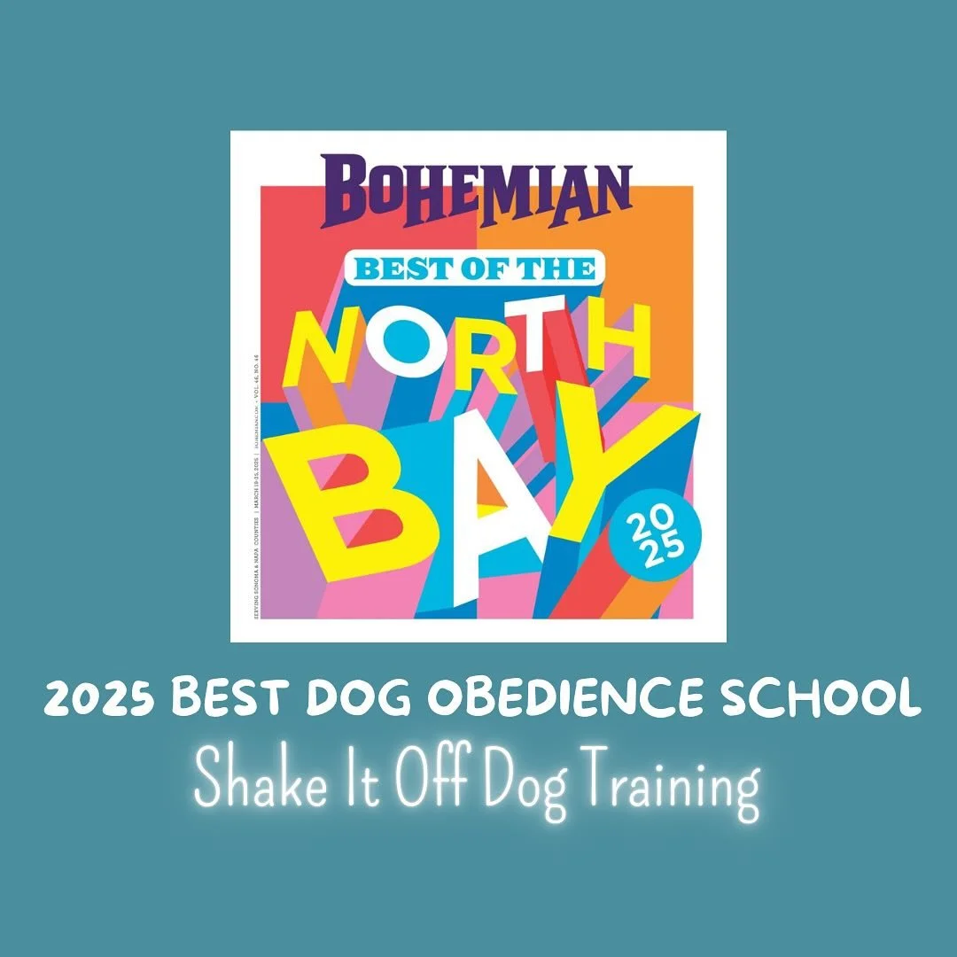 Over the moon to be recognized as the Best Dog Obedience School in Napa County, thanks to your votes! I'm so grateful for your support! 

Thank you, thank you, thank you. &hearts;️ 

Camille

#napavalley #NapaCounty #BestOfBohemian #BestOfTheBohemian