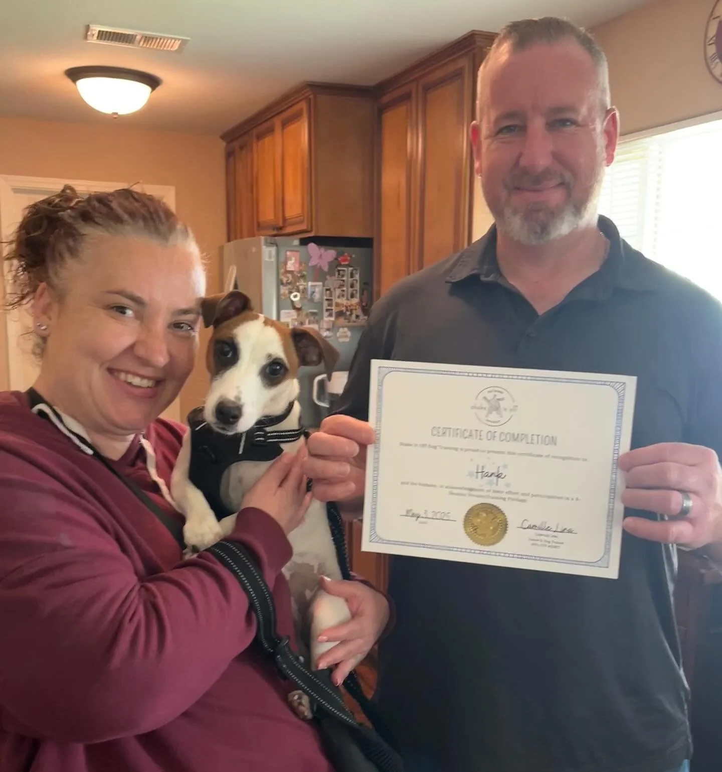 🎓🐶Happy graduation to Hank! Oh what a good boy! This little energy powerhouse excels at training games and is a very quick study. I am equally proud of both of his parents, who have picked up many new skills and concepts like champions! It has been