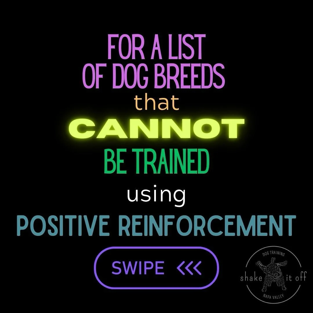 ⭐️Positive Reinforcement works for all dog breeds and is the only training method recommended by the American Veterinary Society of Animal Behavior. 

⭐️If you are using this method of training for your dog and have been unsuccessful, or if you'd lik