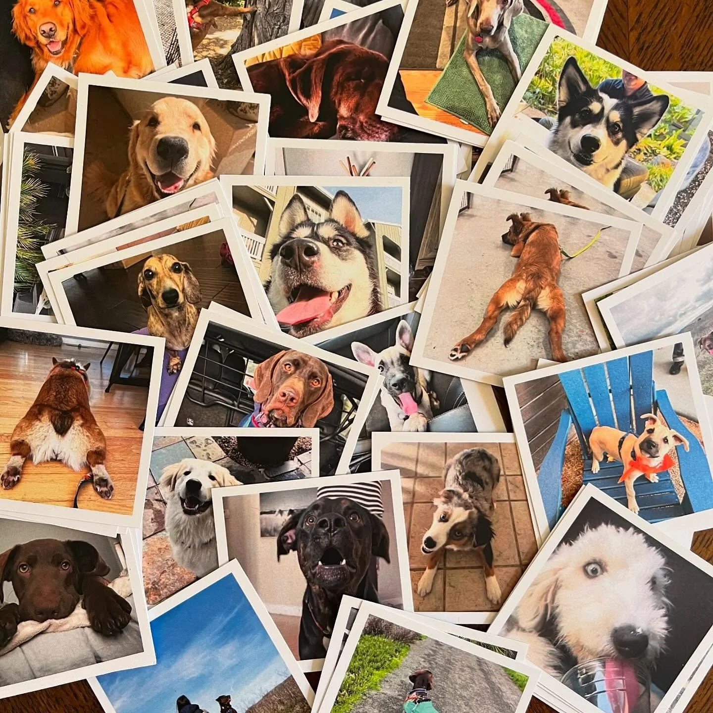 Shake It Off 2024 business cards are in! A few of my favs. See anyone you know?