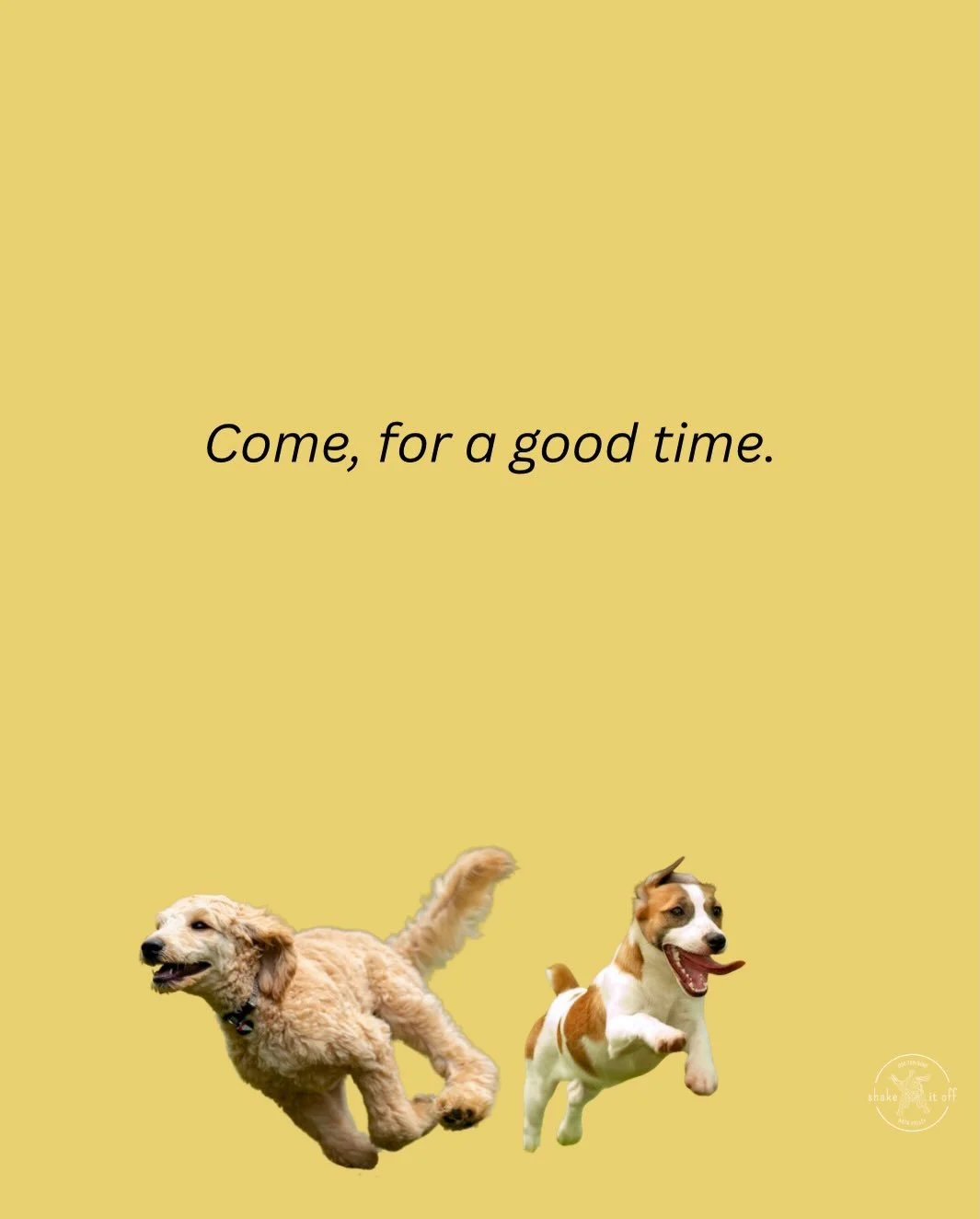 Come and find me at Napa Humane! This class is great for those who want structured practice amongst distractions and💡tips your grandma never knew for training a more reliable recall. 

45 minutes flys by when you're having fun! 🦴🐩

While you're th
