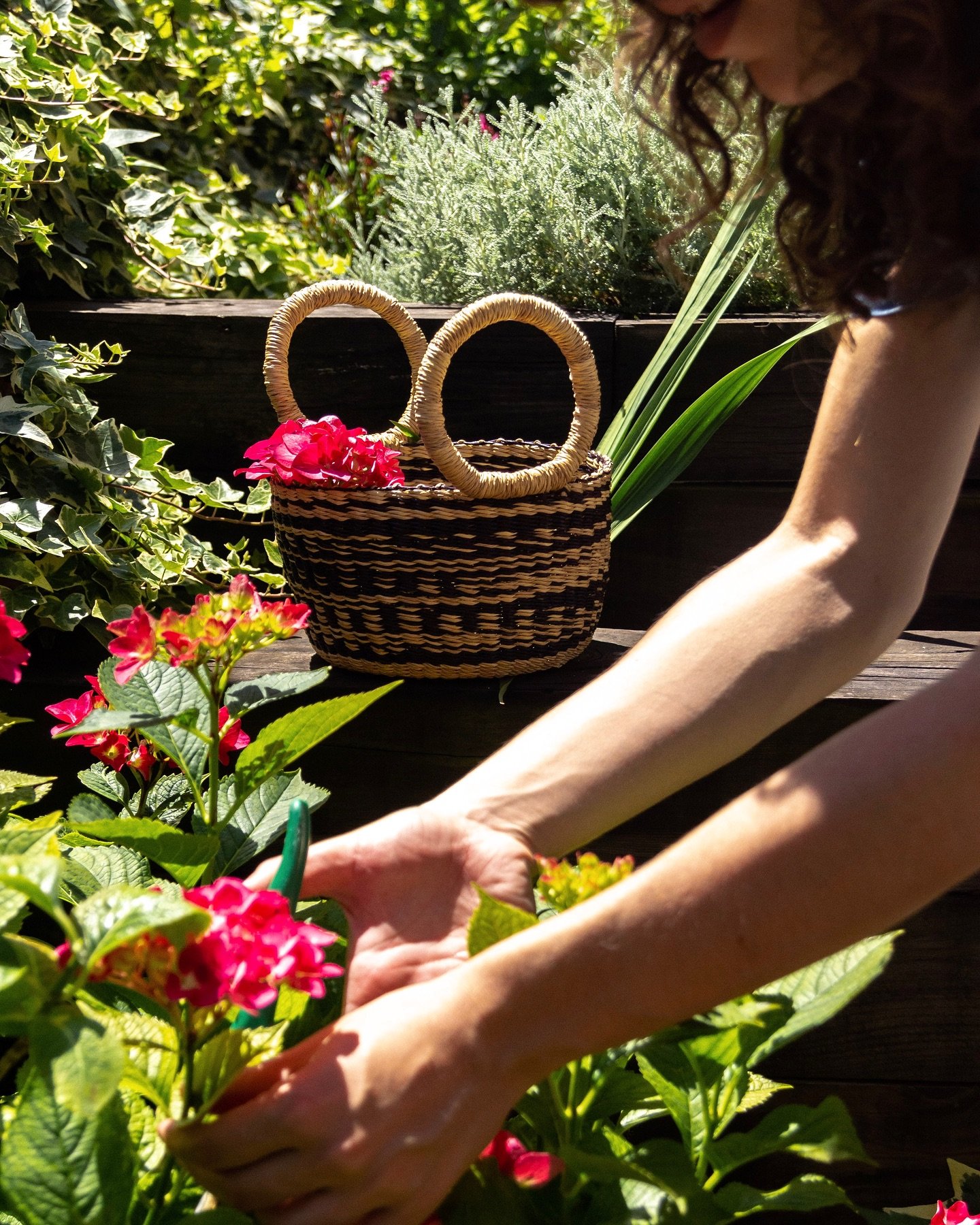 🤎🌱

discover our basketry collection at aketekete.com