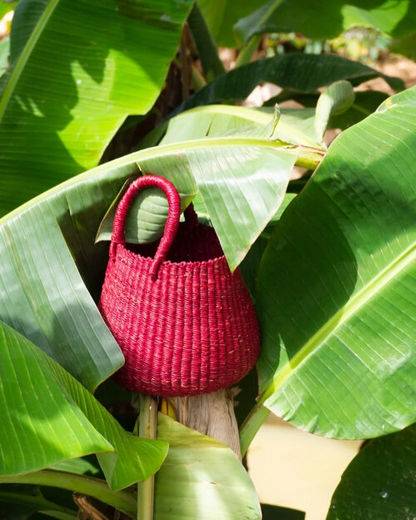 everyday magic 🌱✨

discover our collection of storage woven baskets online! aketekete.com/baskets