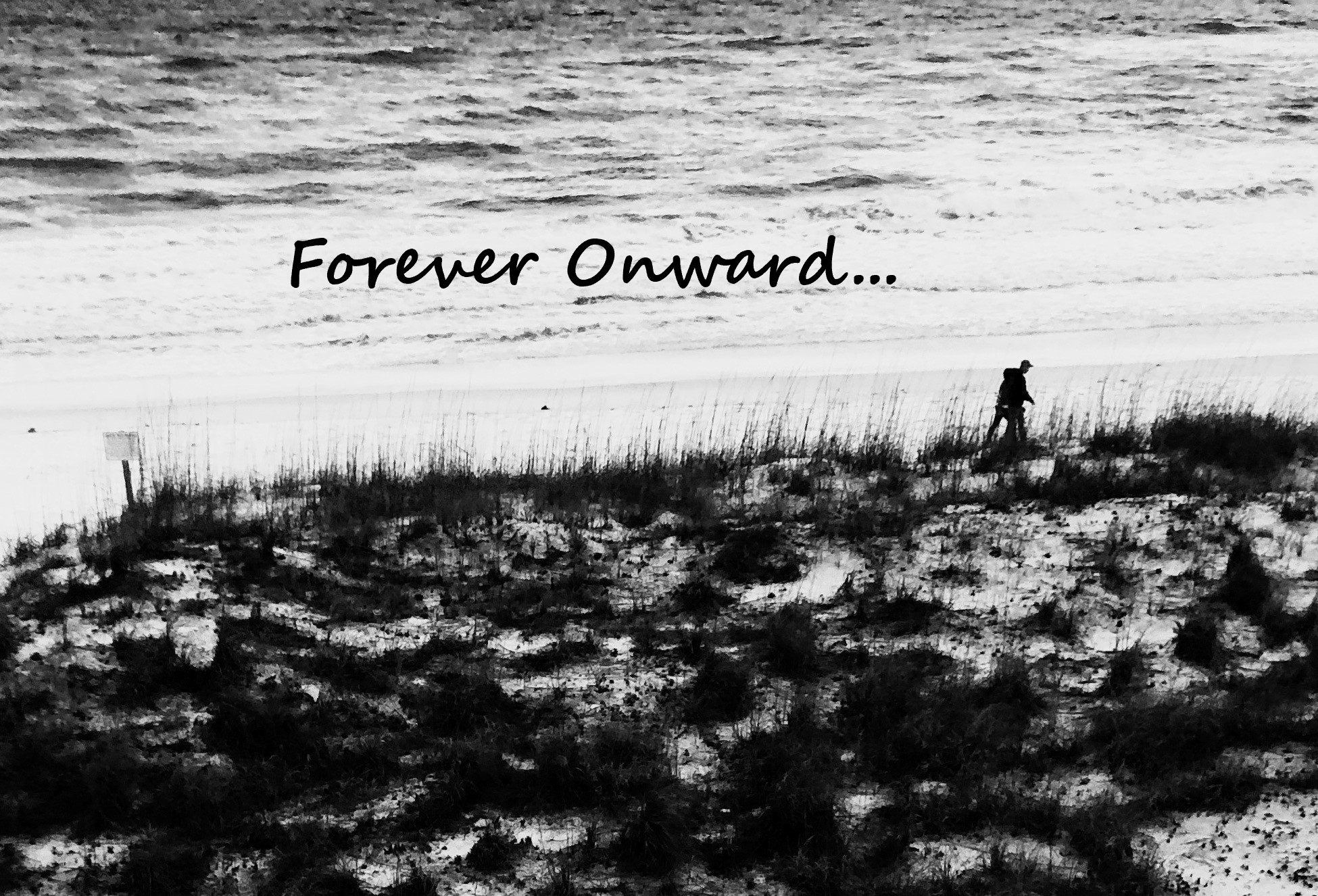 Loving Sideways Book Release!