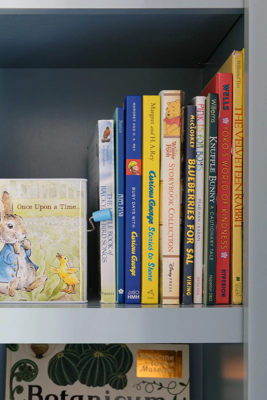 callen_mossy co strange-5693.jpg