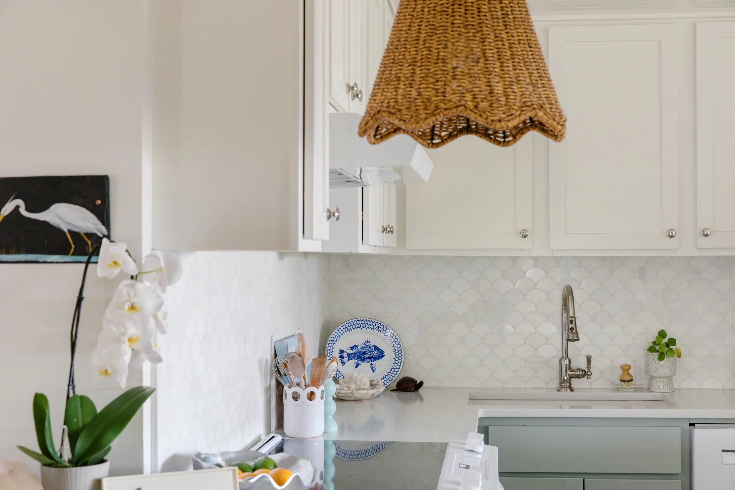 callen_mossy co alligator pt-0843.jpg