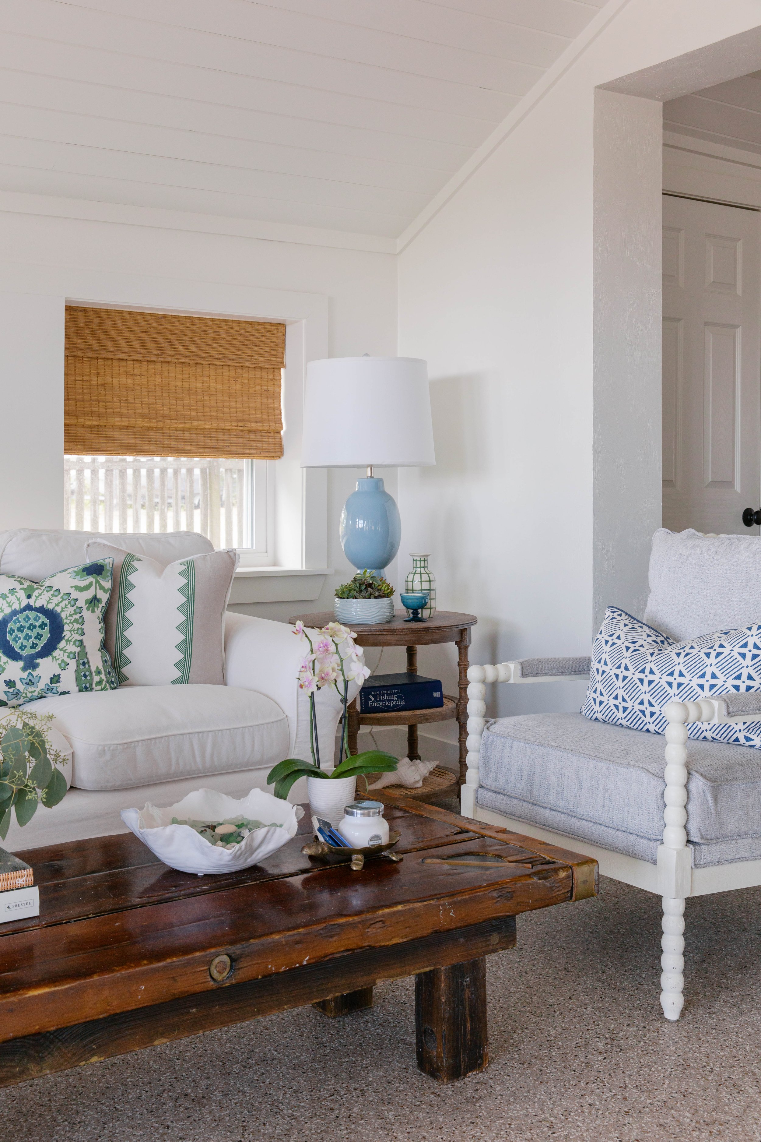 callen_mossy co alligator pt-0823.jpg