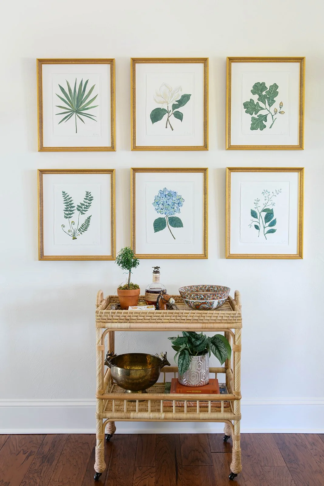 callen_mossy co strange-0083.jpg