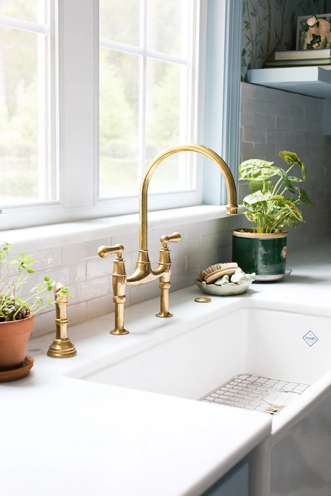 callen_mossy mcclure dr-2160.jpg