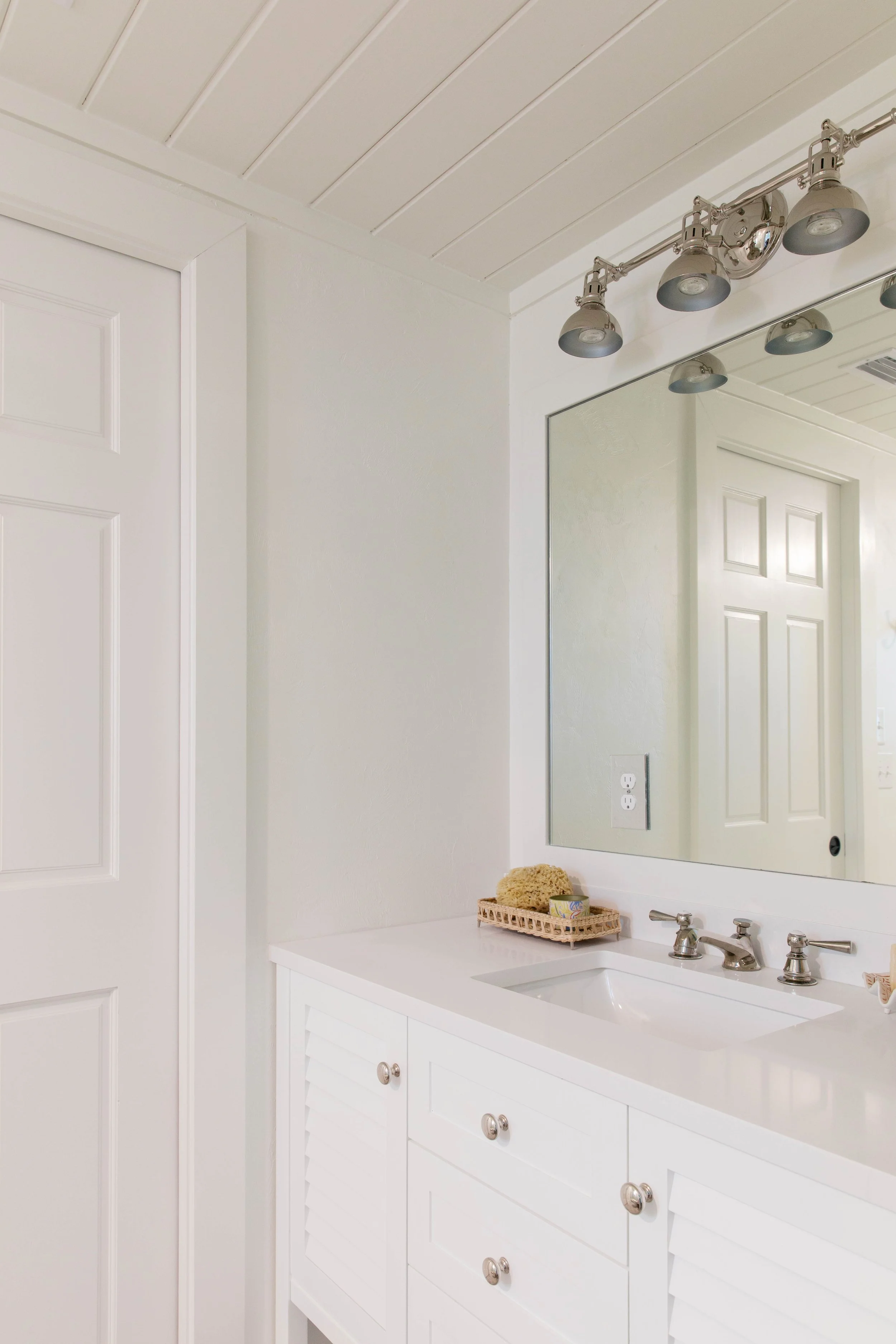 callen_mossy co alligator pt-0791.jpg