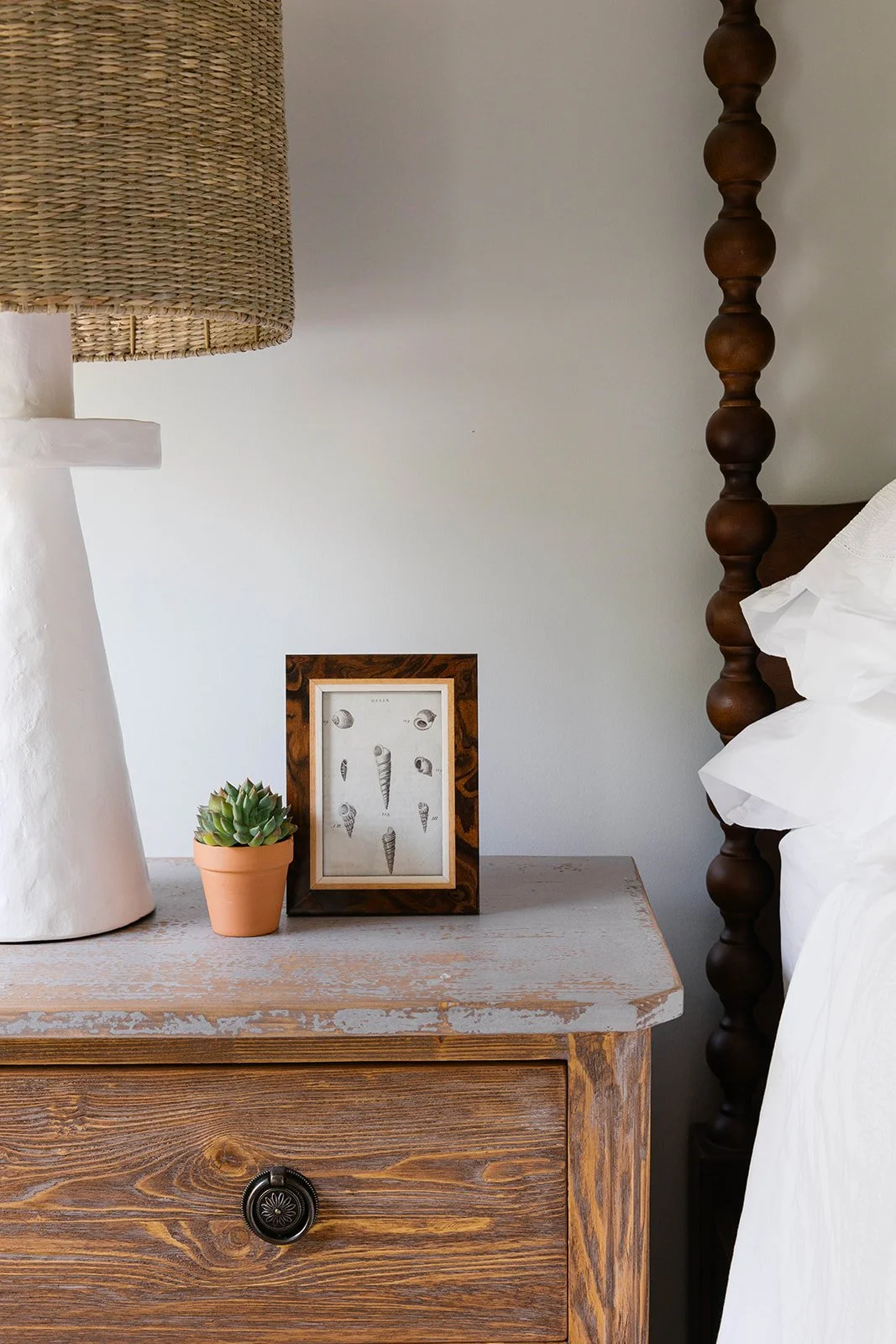 callen_mossy co st teresa-0624.jpg