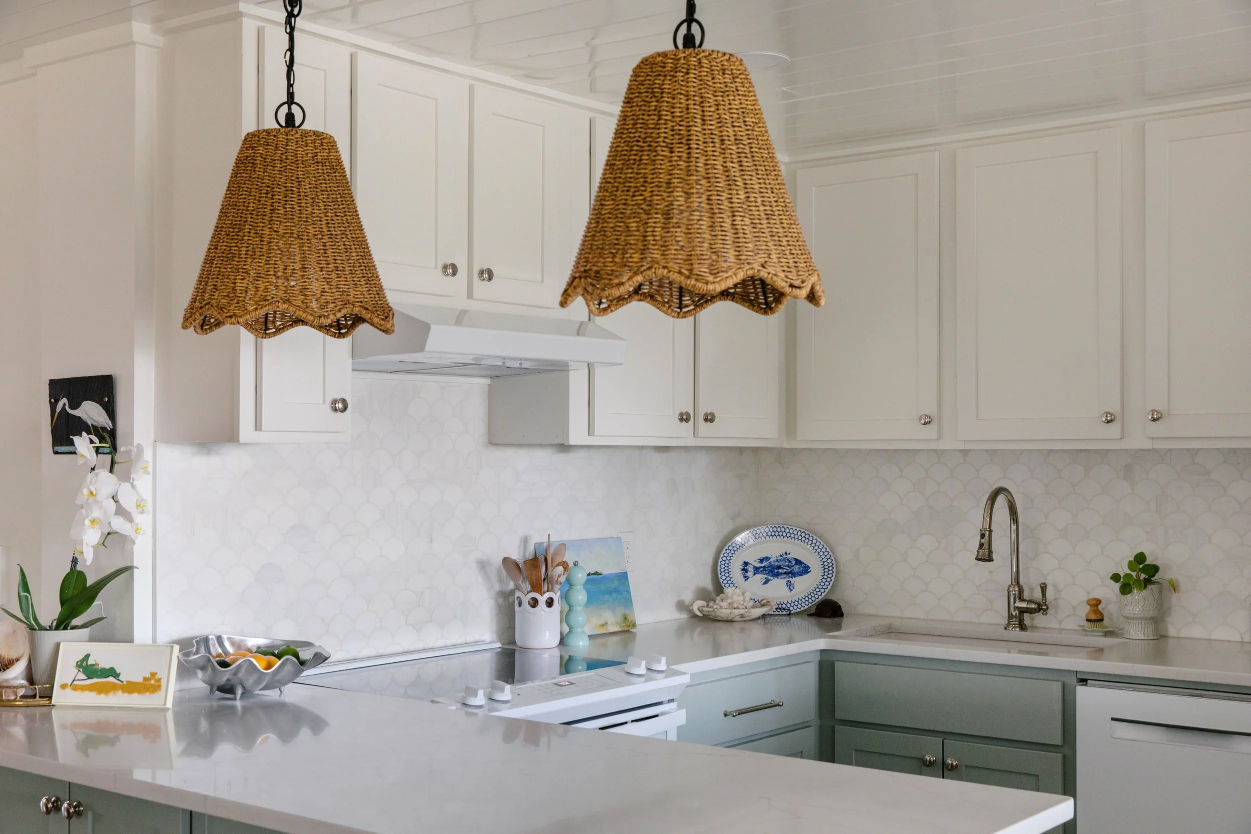 callen_mossy co alligator pt-0838.jpg