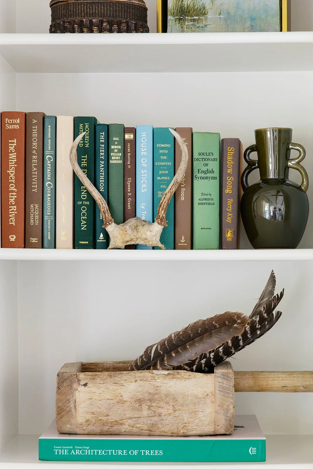 callen_mossy co strange-0123.jpg