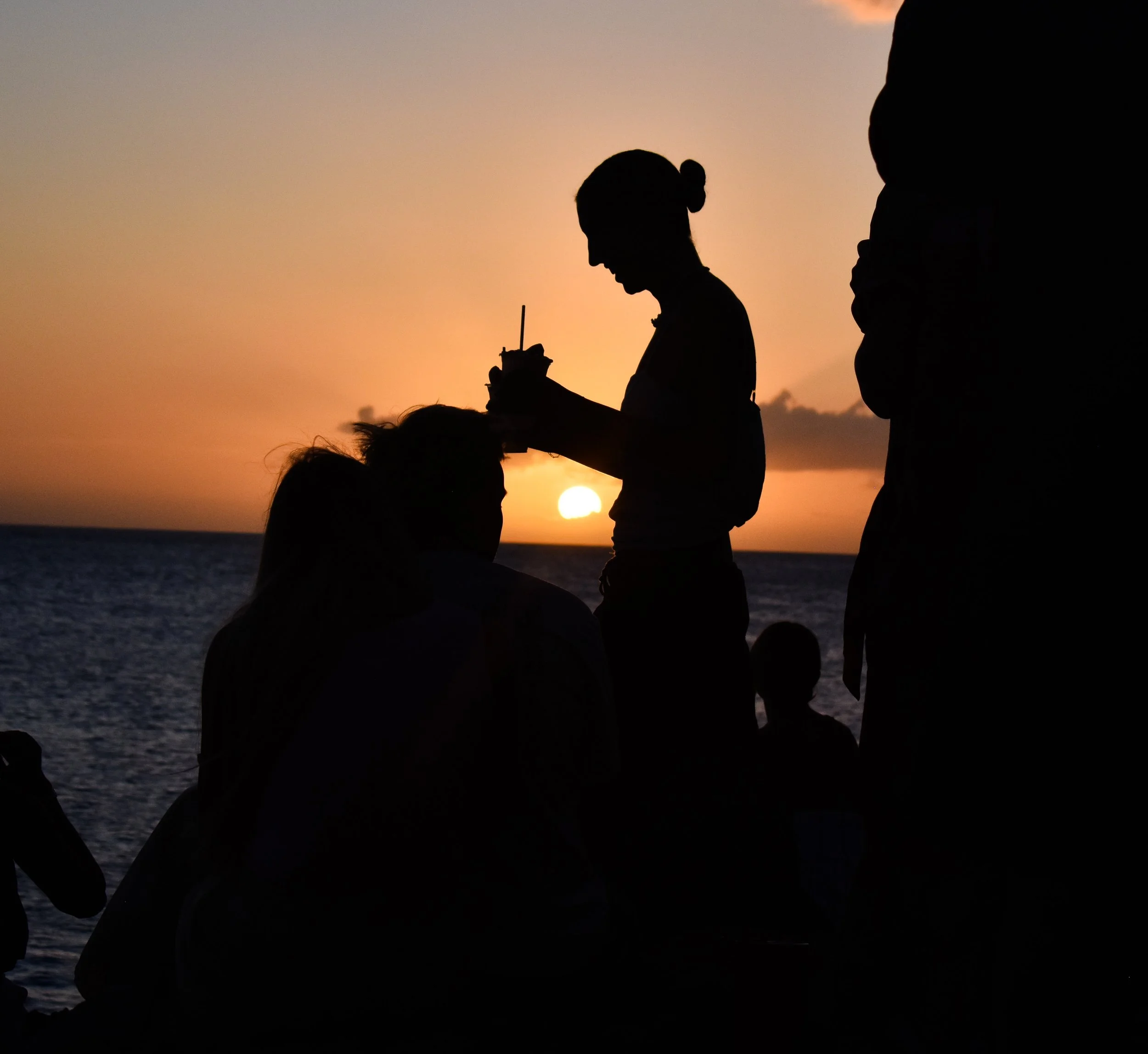 Joe DiMartino - Hawaii Silhouette 2