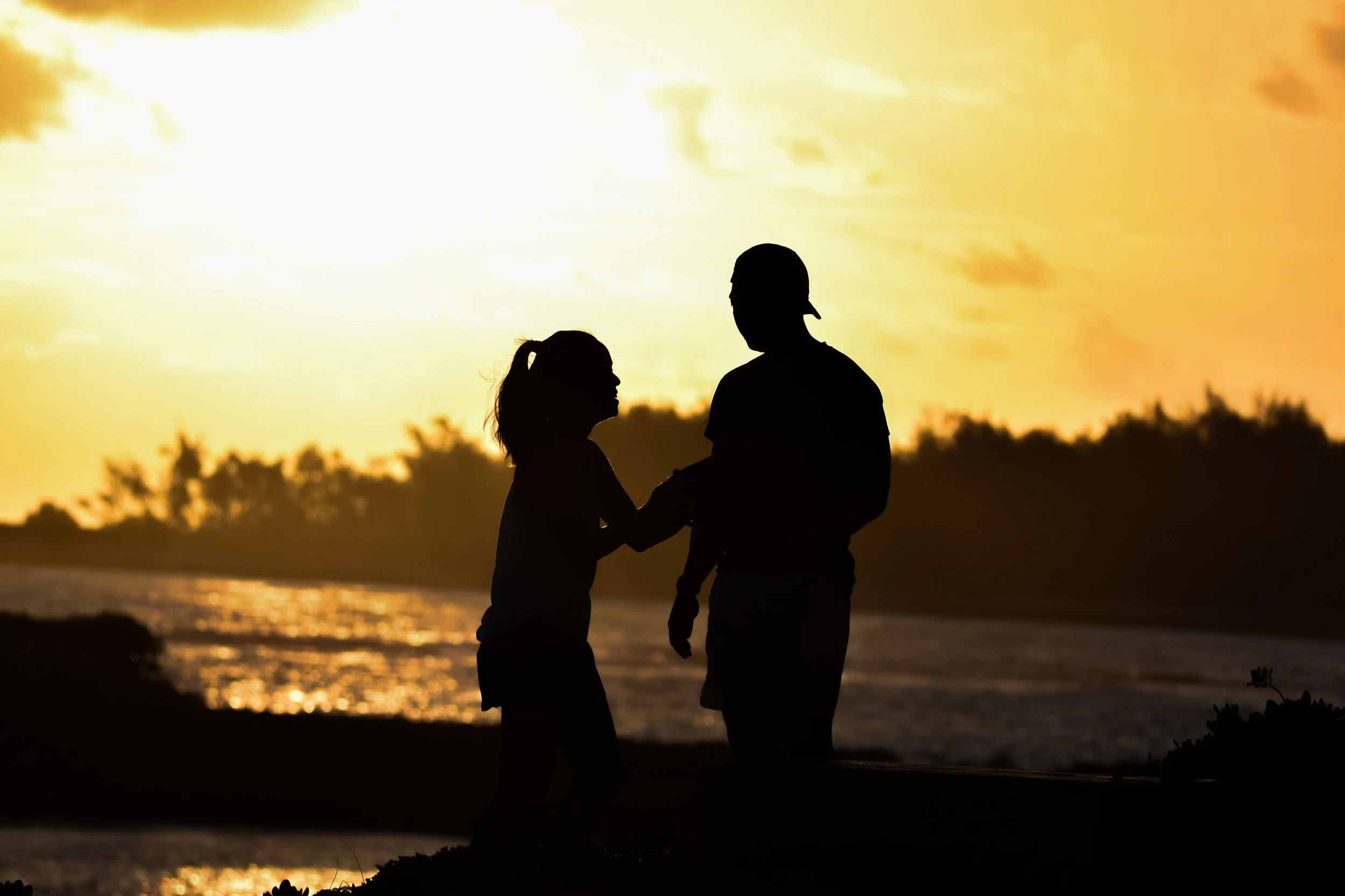 Joe DiMartino - Hawaii Silhouette 1