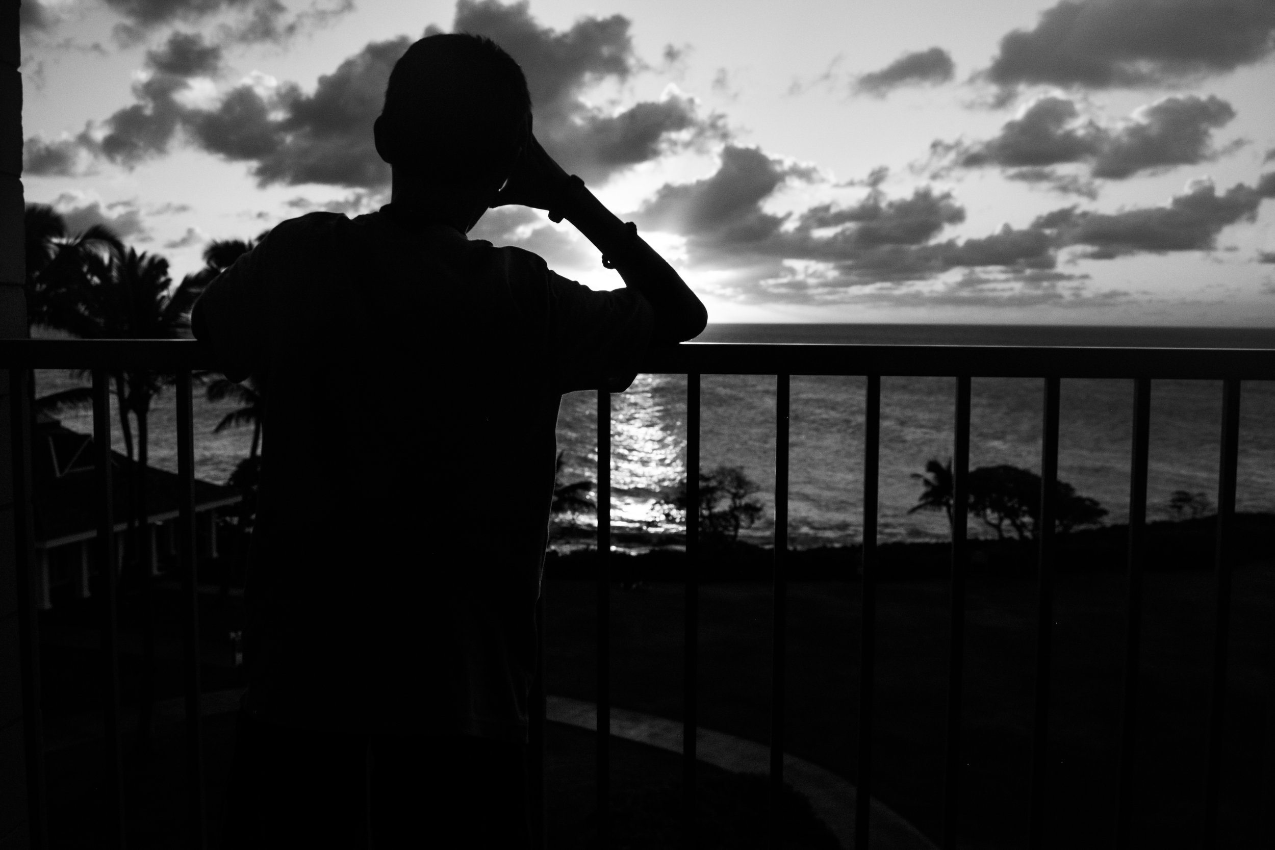 Joe DiMartino - Hawaii Silhouette 3