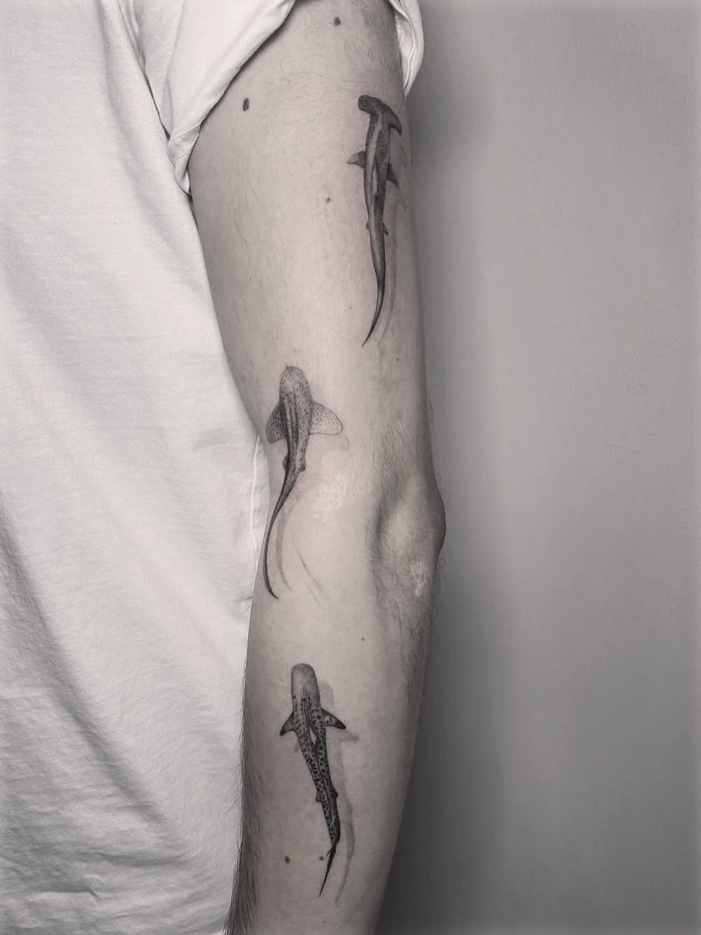 Recent work by Erin - @erinryot 

Message Erin directly to get booked in her diary ⚡️

#blackandgreytattoo #realismtattoo #ornimentaltattoo #finelinetattoo #femaletattooartist