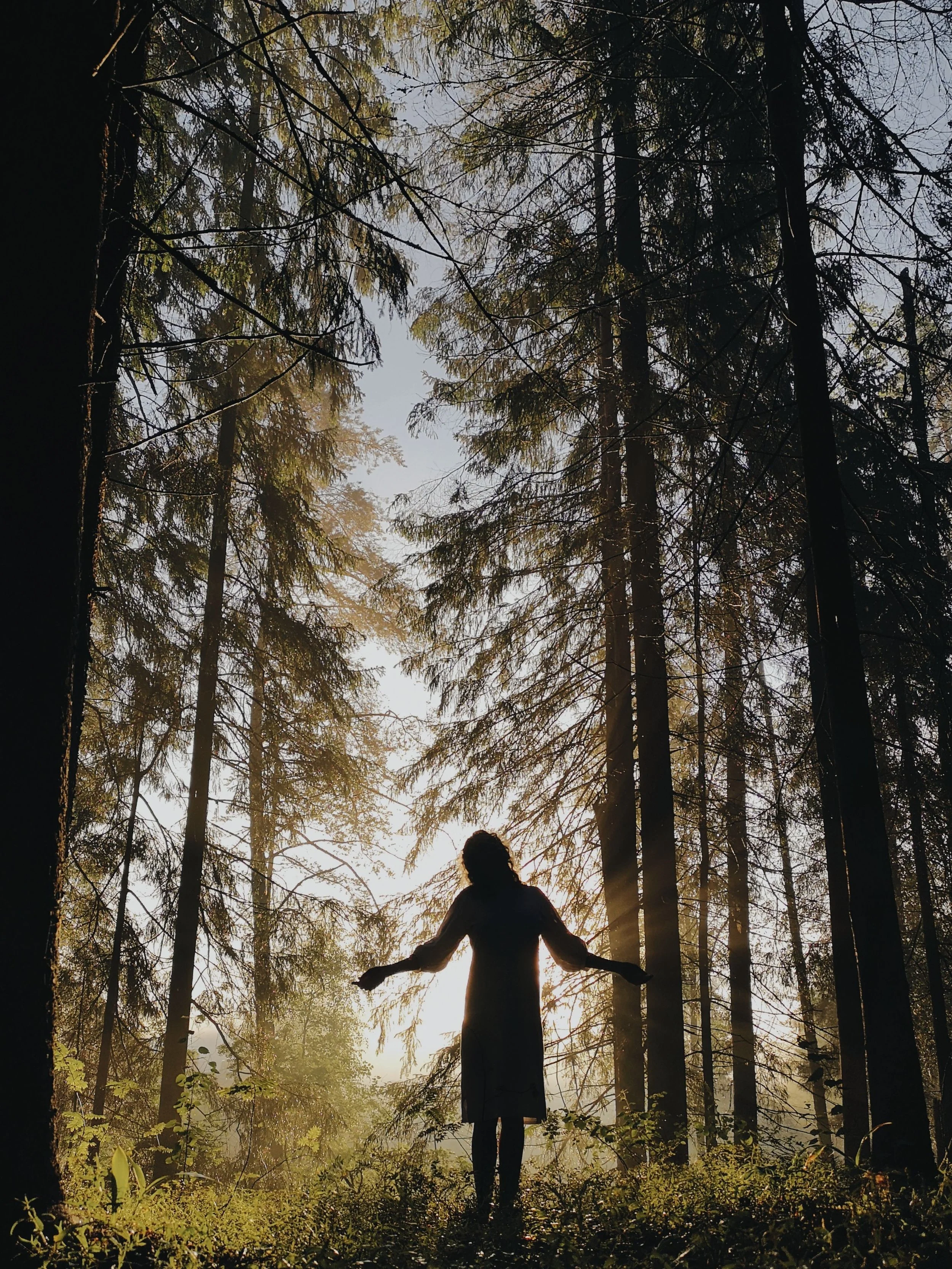 Wild New Way Women’s Collective with Cynthia Adams