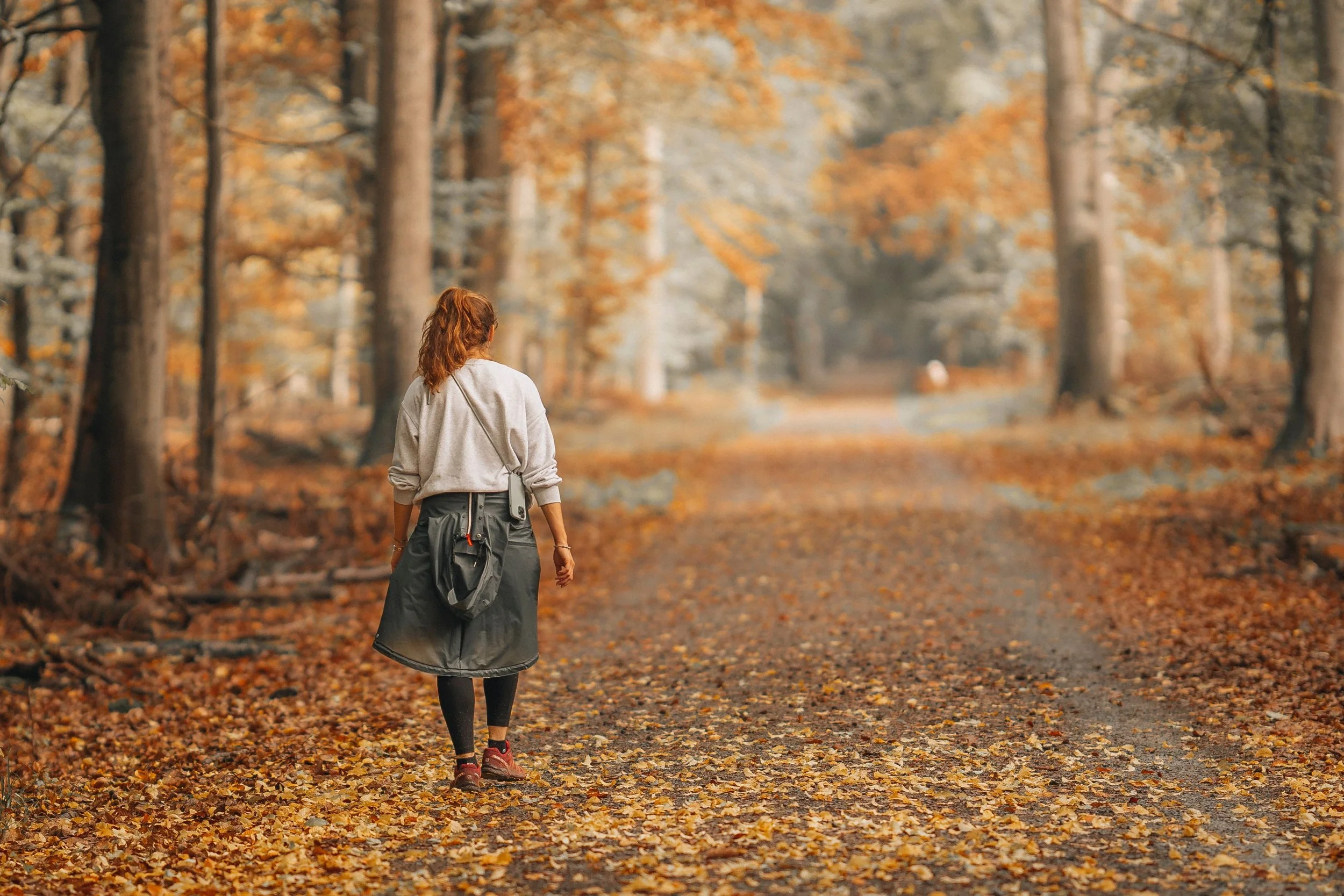 Women’s Collective: The Four Keys of Mindfulness Workshop