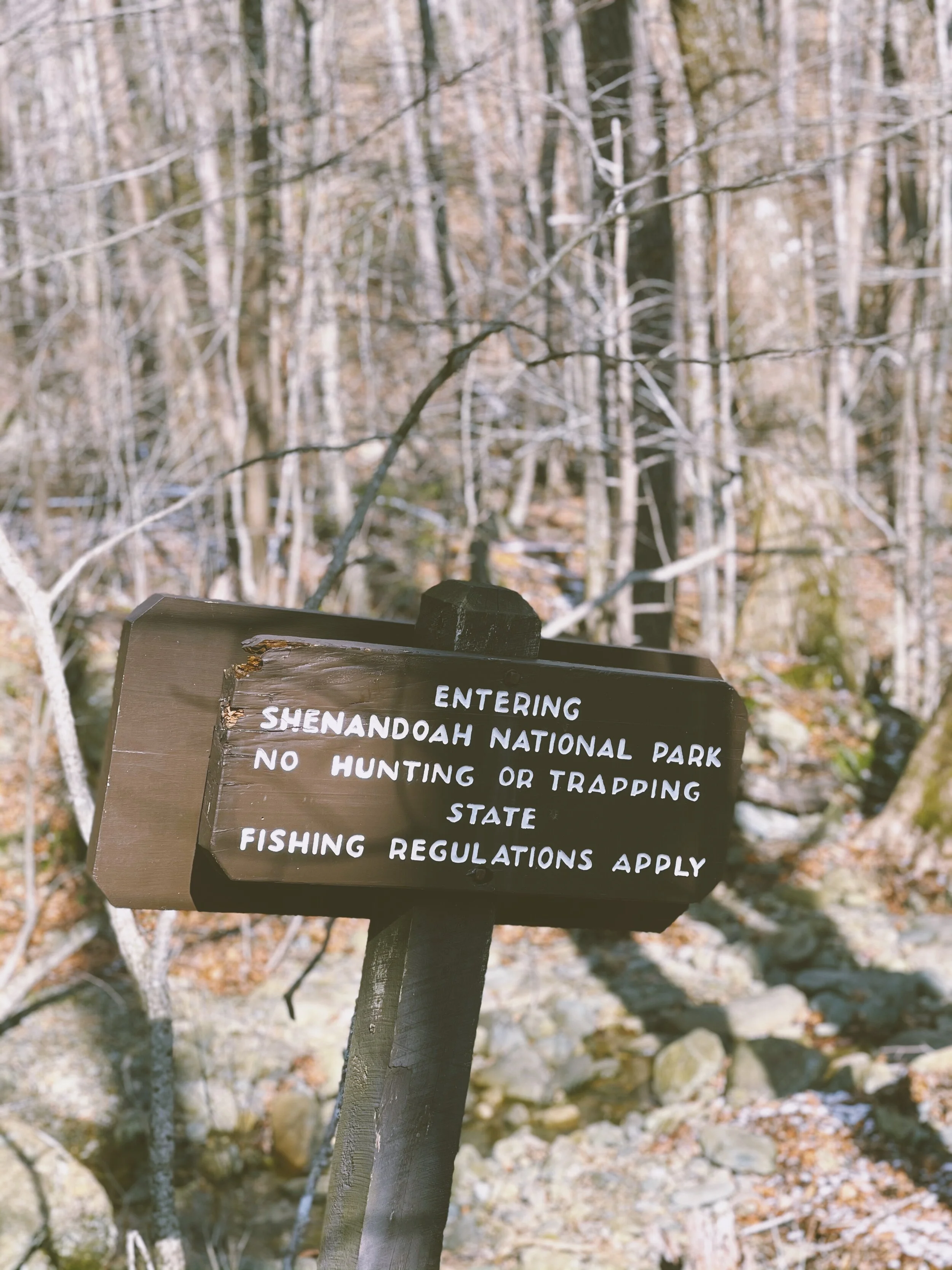 Socially Distant Birthday in Shenandoah Valley