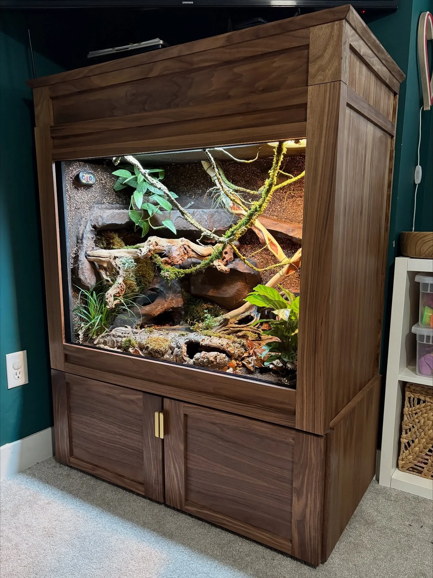 This was a new and fun build, definitely outside of my wheelhouse. An 85 gallon reptile enclosure with faux nature elements and bio active system. Constructed with PVC sheets from @cornelsworld and walnut veneer, this cabinet is trimmed out with soli