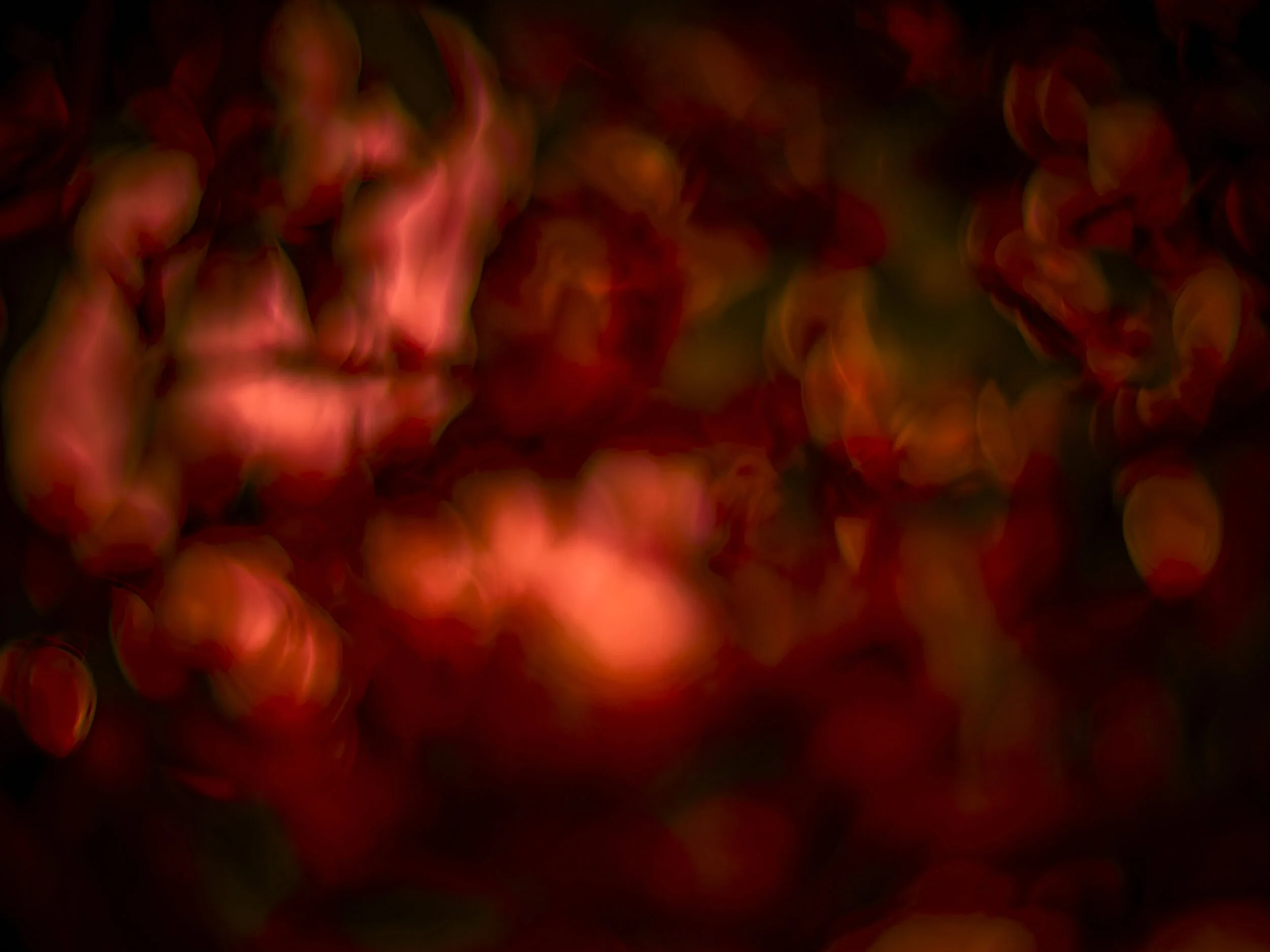 NCP_945.jpg
