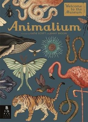 Animalium Welcome to the Museum.jpeg